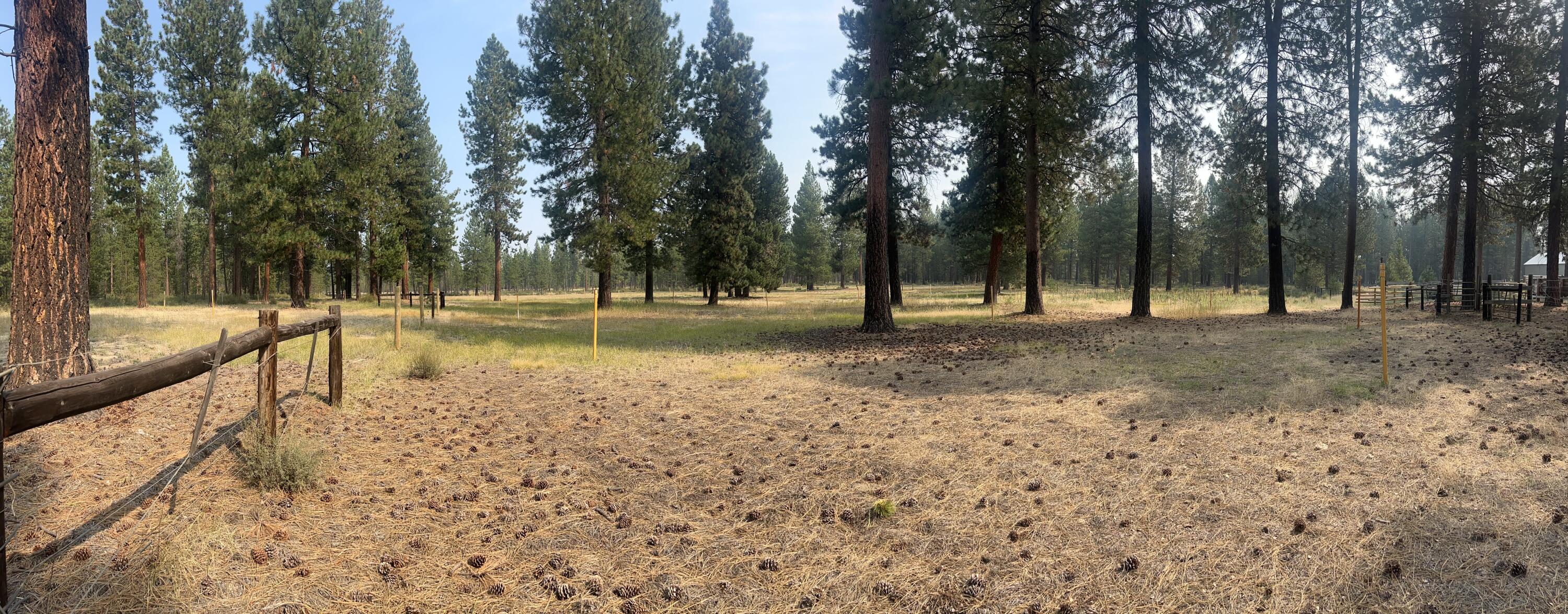 Discover your own private wilderness on this exceptional 8.6-acre property. Surrounded by a majestic Ponderosa Pine forest, this parcel offers an unparalleled connection to nature and a canvas for your custom home. Imagine building a home where your backyard meets the forest and the river is only steps away for fishing, kayaking, or quiet contemplation. Paved road access ensures year-round convenience while preserving your feeling of seclusion.  Do your own due diligence for septic, electrical and permits.  If you need a home builder, we have recommendations. This property can be sold in conjunction with 50765 Masten road.