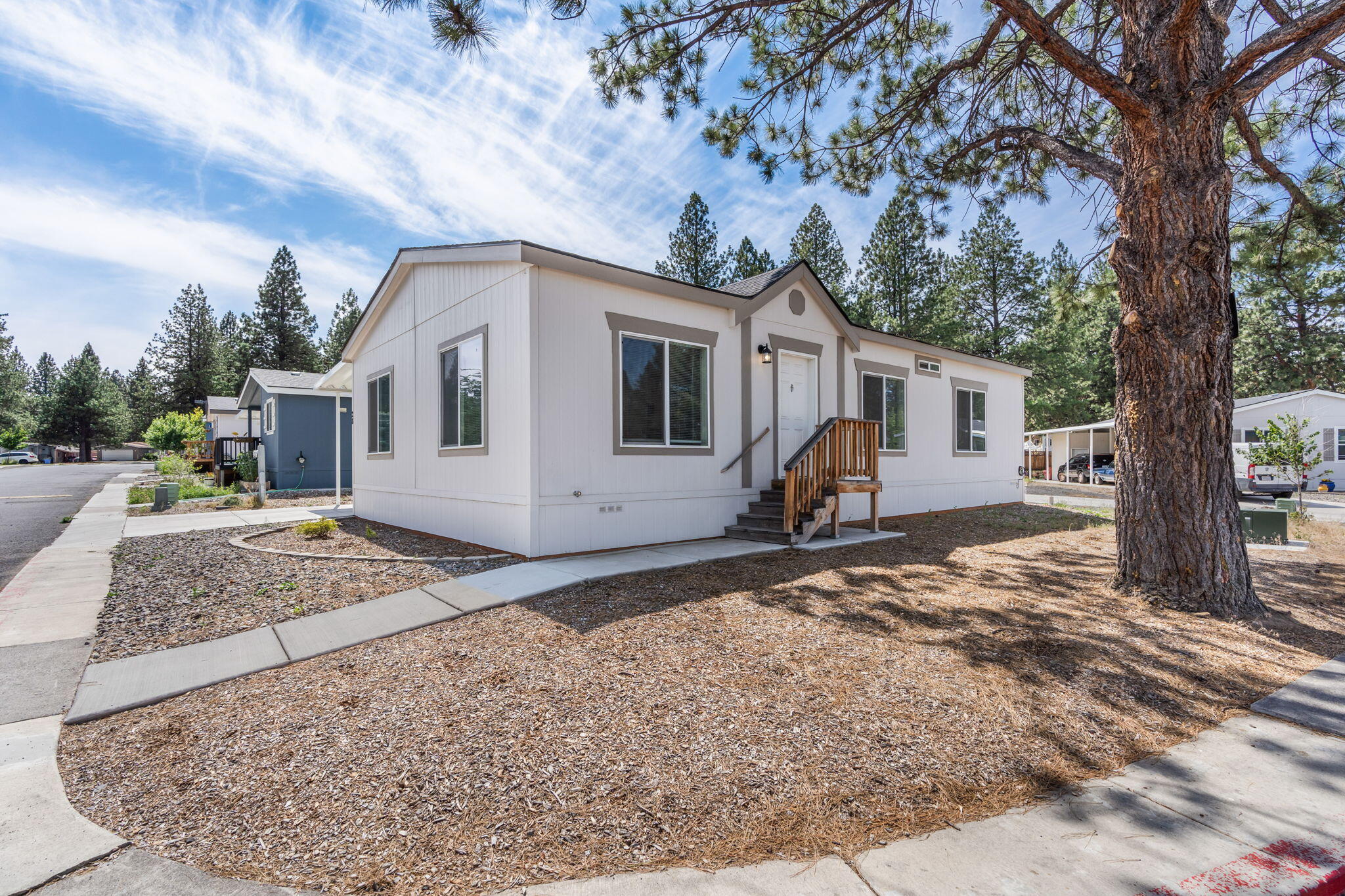 The Pines - Residential