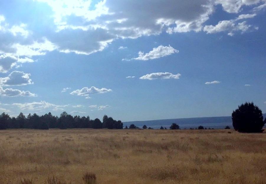 Nice 278 acre parcel of bare land off of Highway 395 in Northern California, just south of the Oregon border. Land is a mix of meadow/grasses and a reservoir on the property that is fed from a neighboring spring. Seller states 150 head of cattle graze from June to October. There is also approx. 260 MDF of ponderosa pine. Zoned Unclassified/General Agriculture. Modoc county planning stated one residence may be placed - buyer to do own due diligence on details and potential uses.