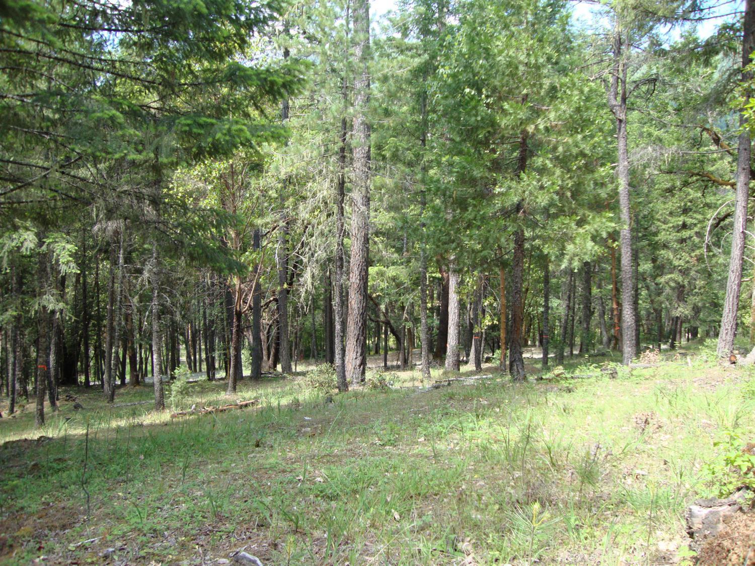 This is a great opportunity to build your dream home, backed to BLM in a very private location with a beautiful variety of trees. Home site is approved, approximately 38,660sq. Standard 4 bedroom septic approval, Easy Access to Power and Well at Ditch Creek Rd . Listing 102989746 Lot 205 is also available.