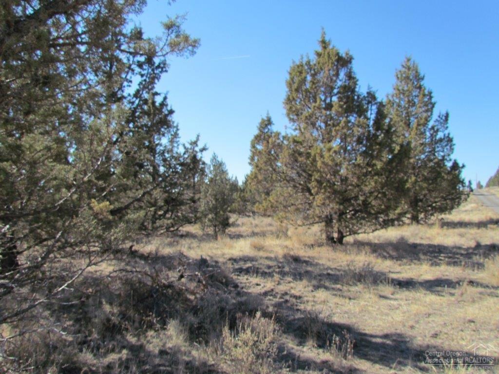 Nice level lot building lot with power across the road. Roads are graveled up to property.