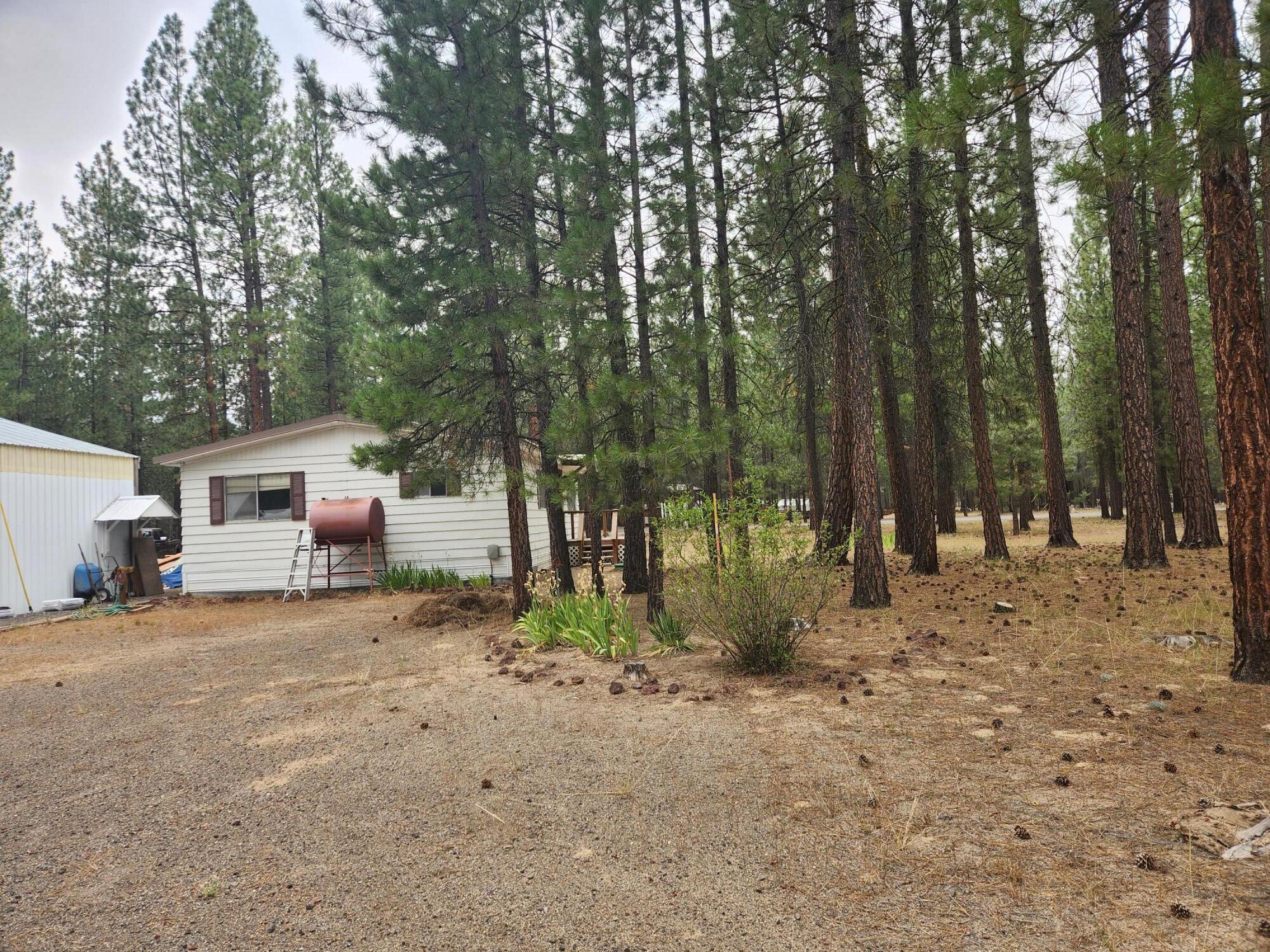 Ponderosa Pines - Residential