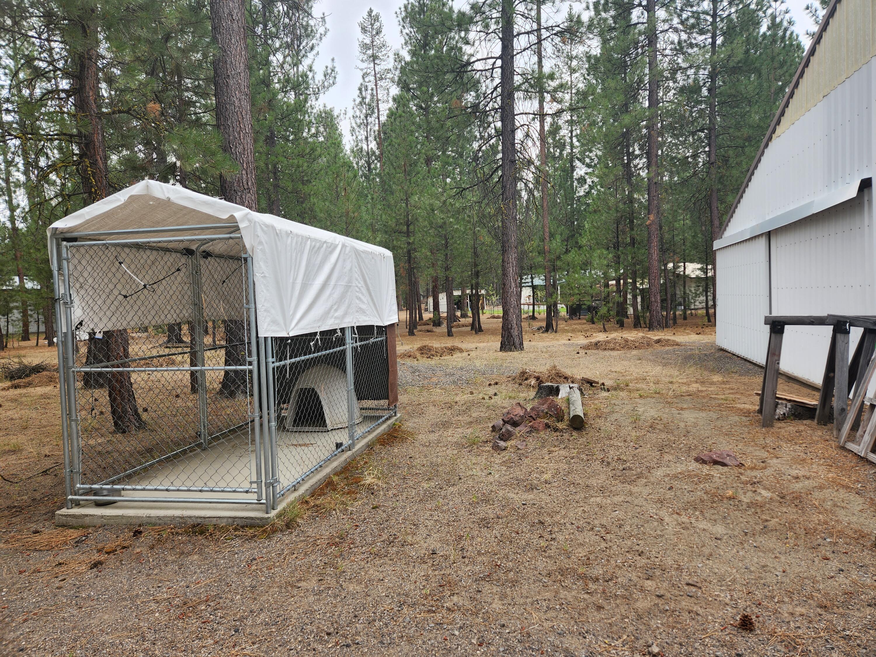 Ponderosa Pines - Residential
