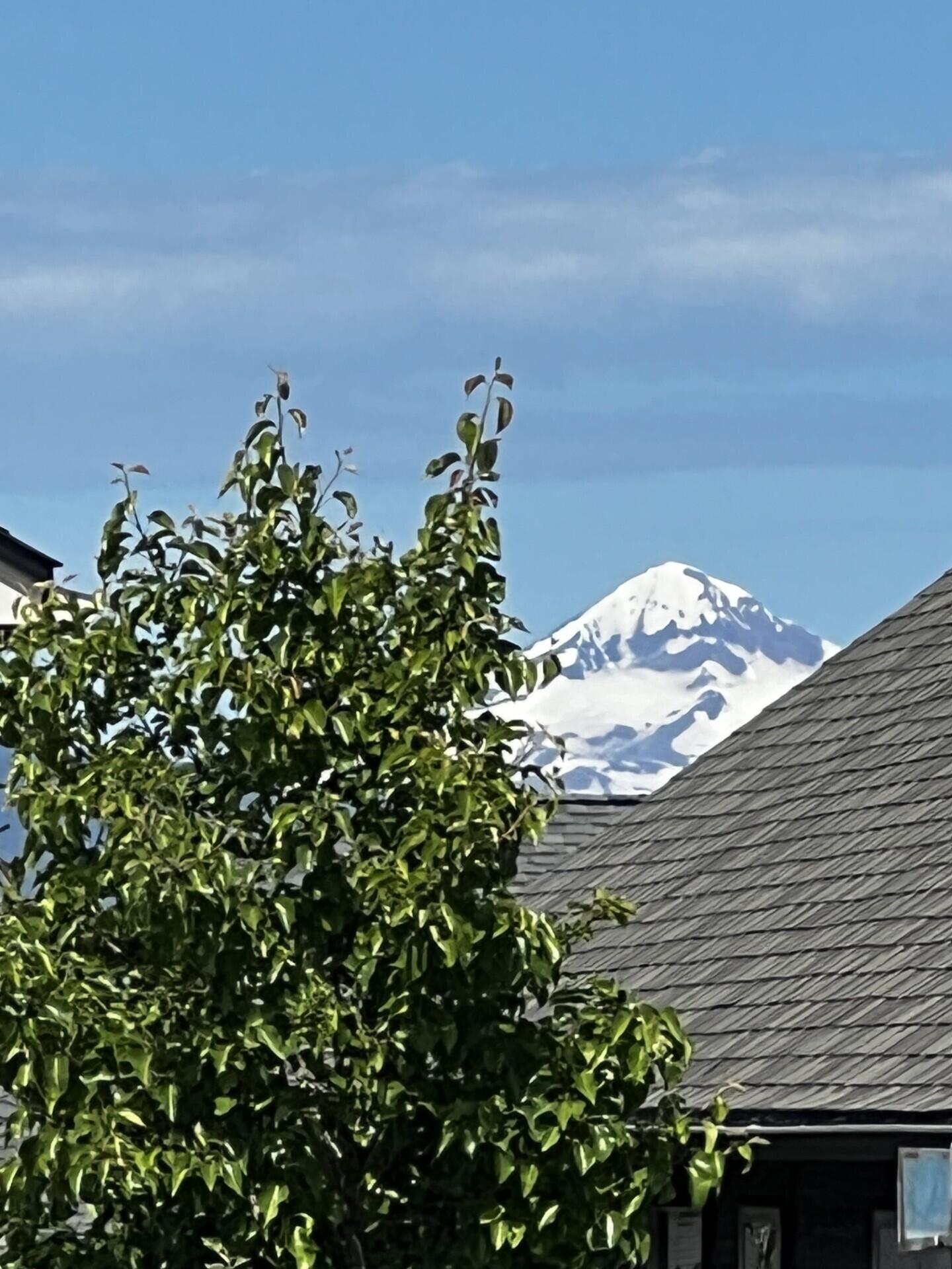 Petrosa - Residential