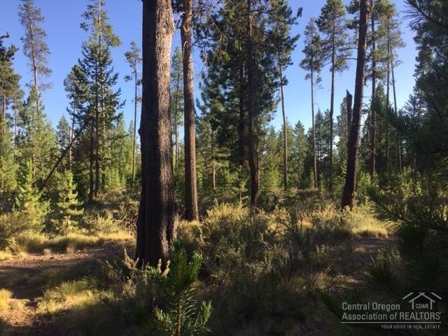 Beautiful half acre level lot to build your dream home. Property backs to National Forest land with walking trails. OWW2 owners enjoy private access to the community park and marina with boat ramp & dock on the Deschutes River. Water meter and back flow installed on property, sewer and electric at street. Adjacent lot is also on the market. Prime location for all that Central Oregon has to offer, just a short drive to the Cascade High Lakes and Mt. Bachelor.