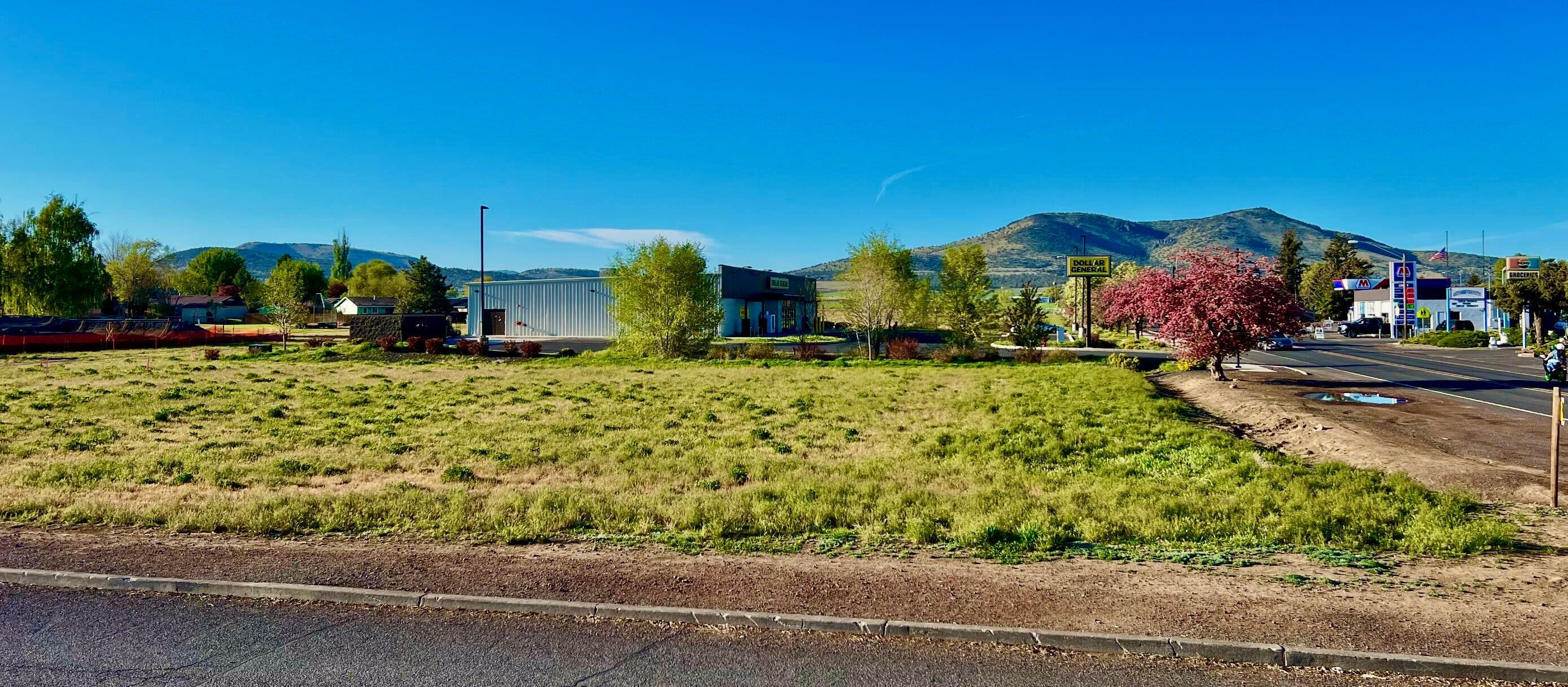 A best- flat prime commercial corner land in a growing town of both business and residential developments. Located in the heart of the city's business district, adjacent to the City Park and next to busy Dollar General store. Paved streets on 3 sides (park side in development phase). Note: there is a 10-foot utility easement along 1st Avenue (the main street) for city use.