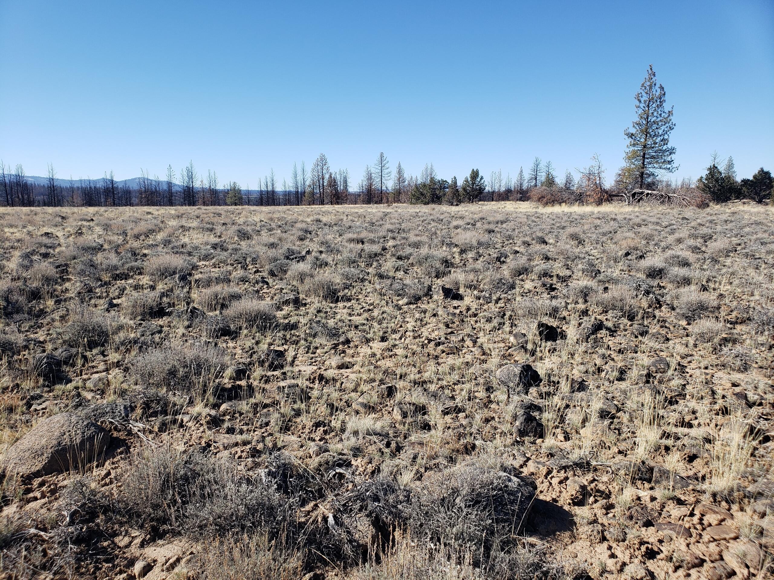 Klamath Falls Forest Estates -Sycan Unit - Land