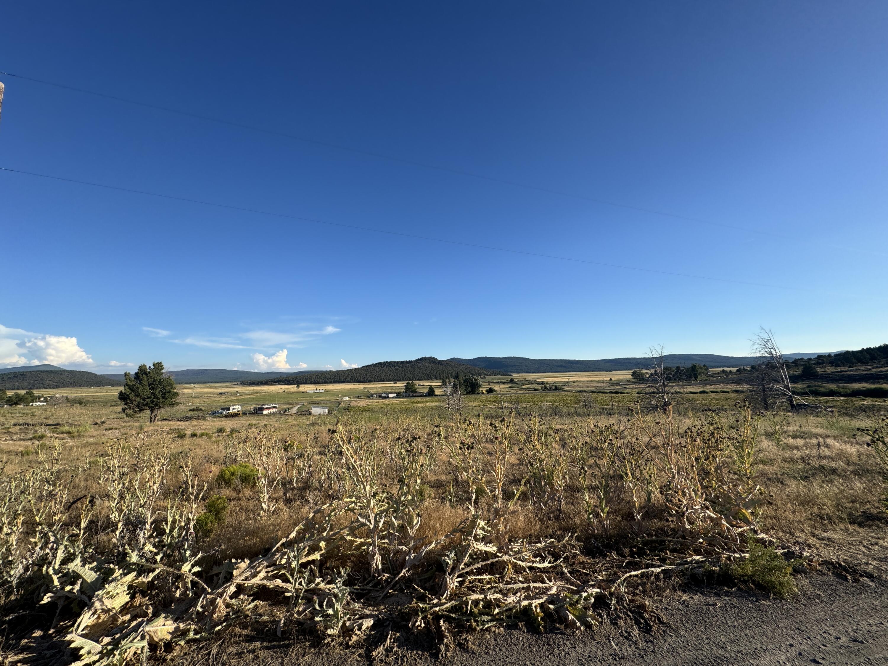 Nimrod River Park - Land
