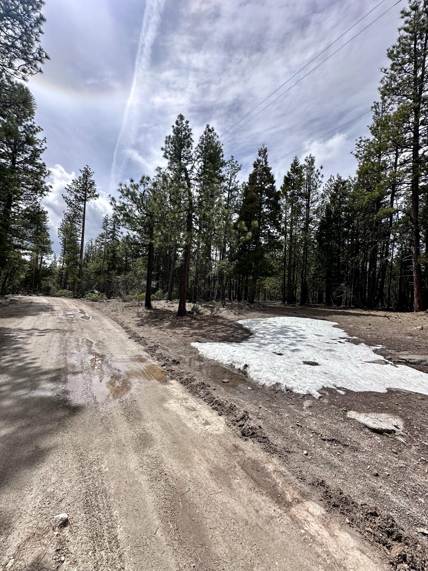Klamath Falls Forest Estates -Hwy 66 Unit -Plat No. 1 - Land