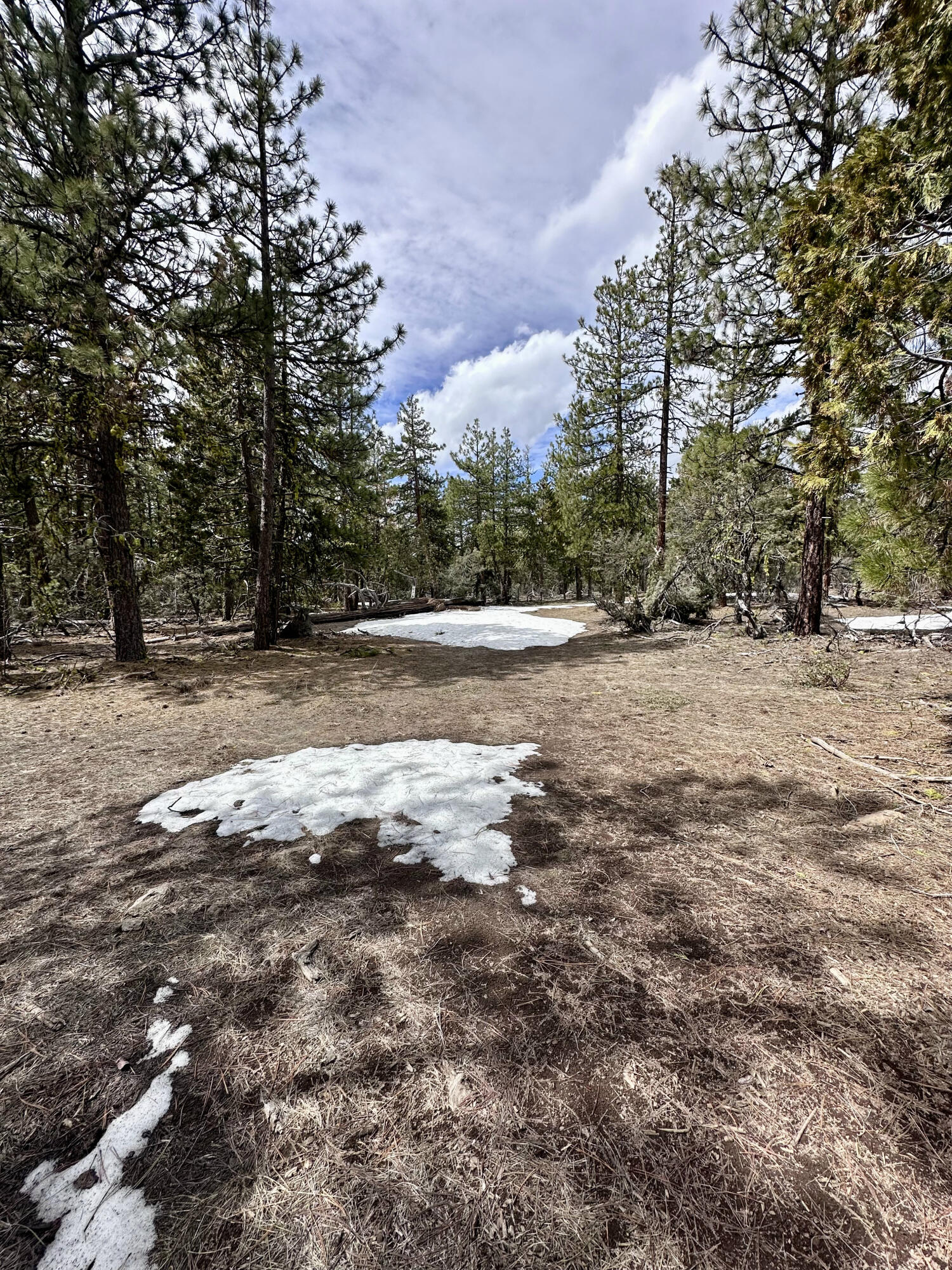 Klamath Falls Forest Estates -Hwy 66 Unit -Plat No. 1 - Land