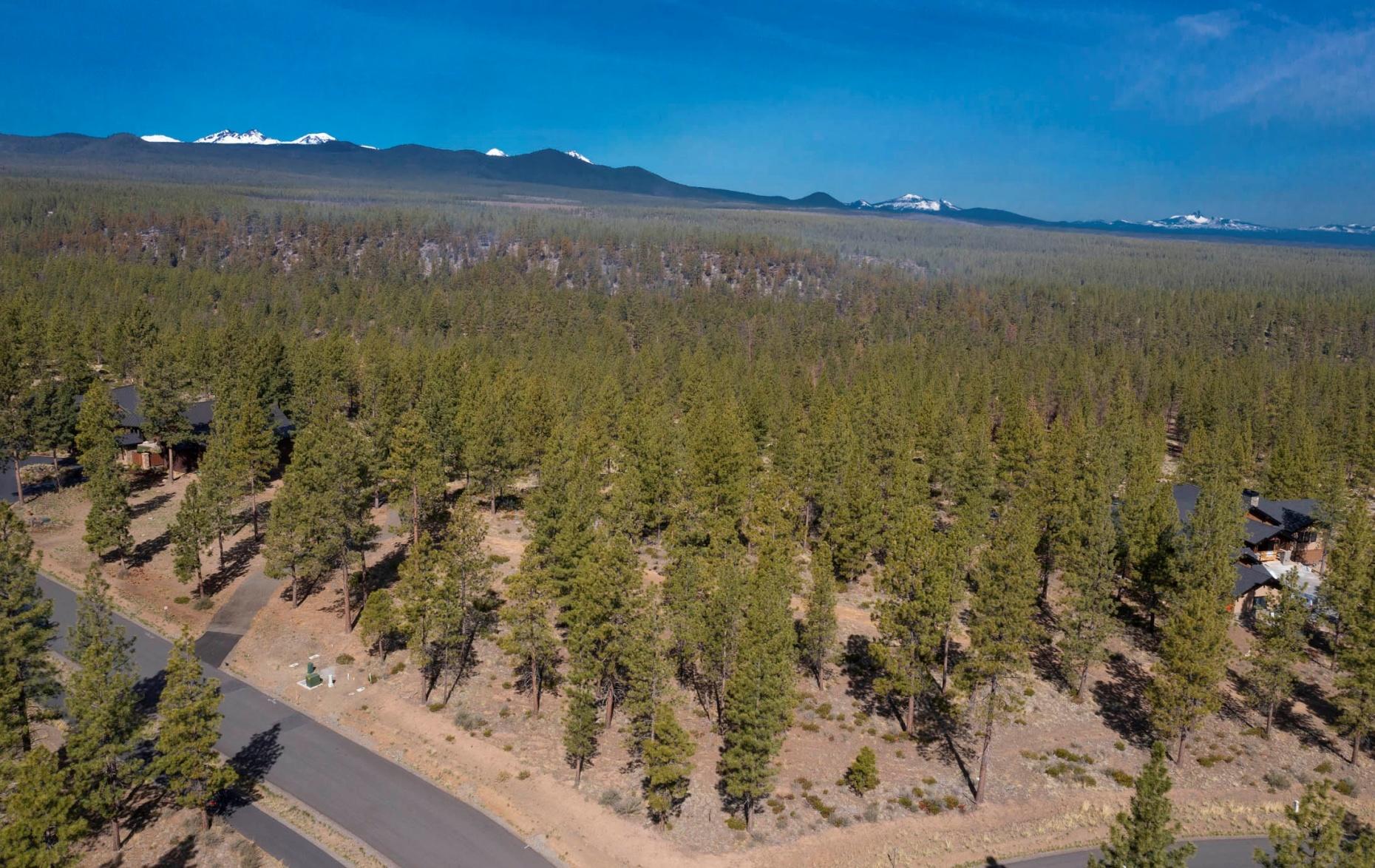 Tree Farm - Land