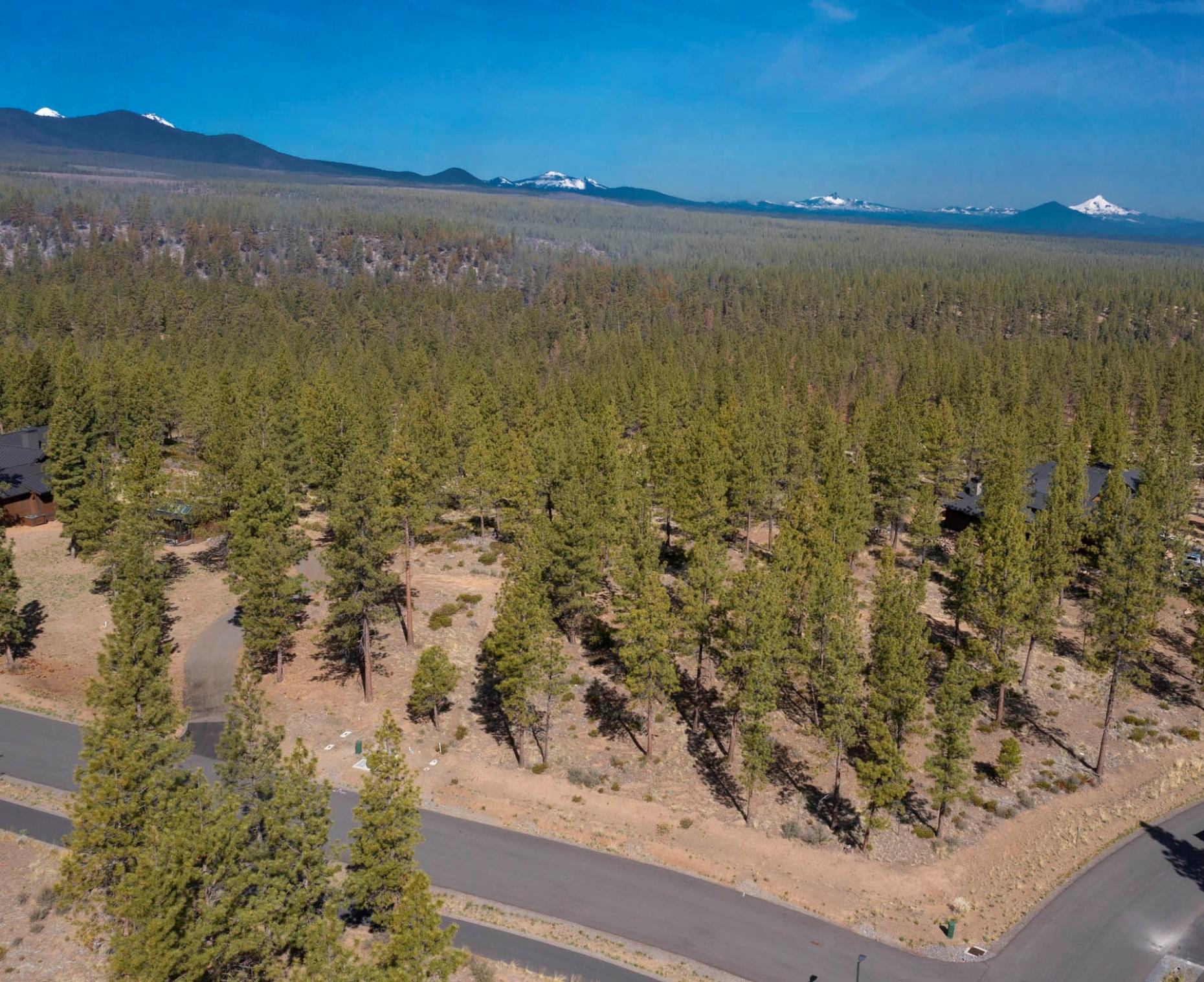 Tree Farm - Land