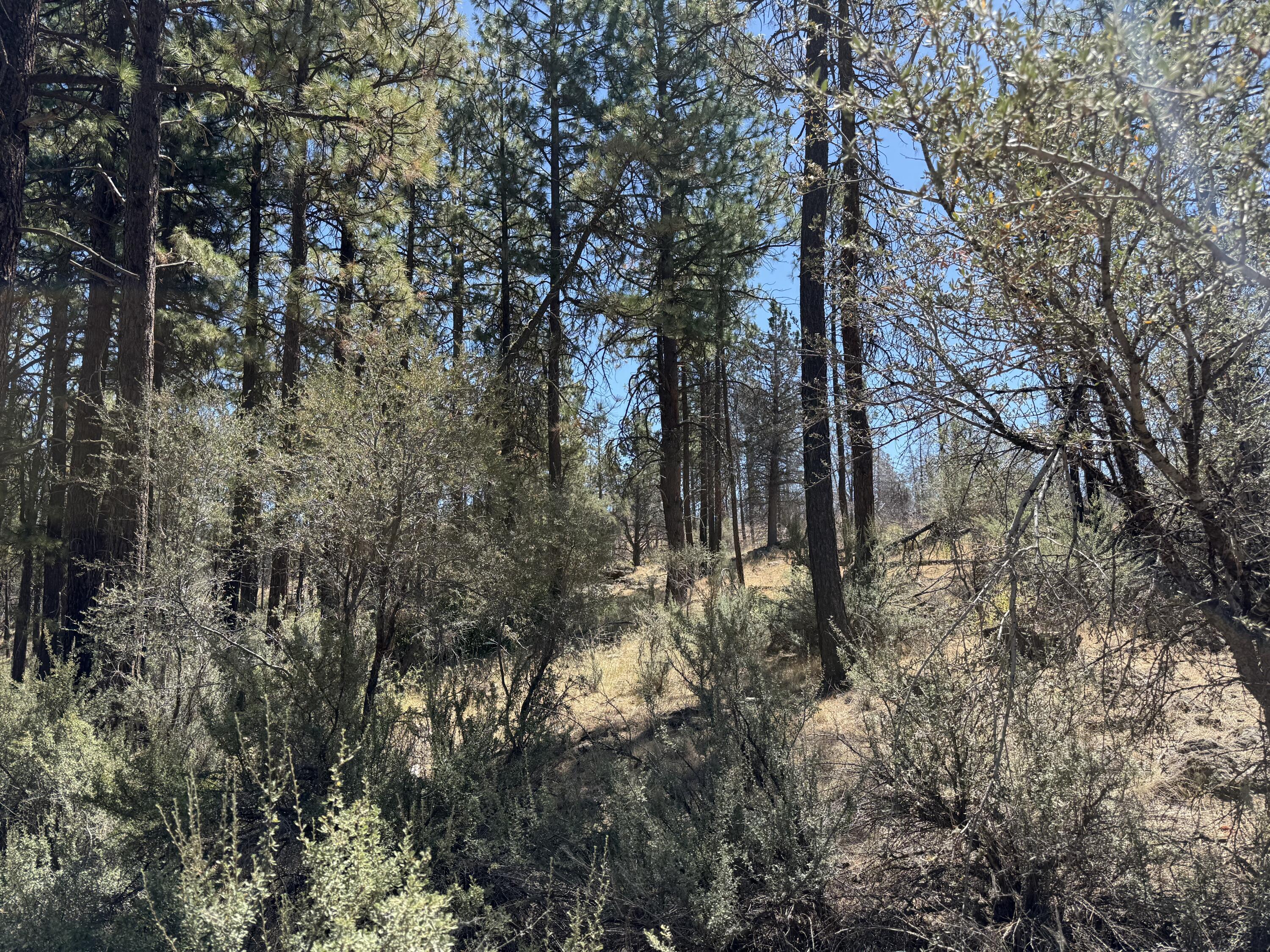 Klamath Falls Forest Estates Hwy 66 Unit Plat 4 - Land