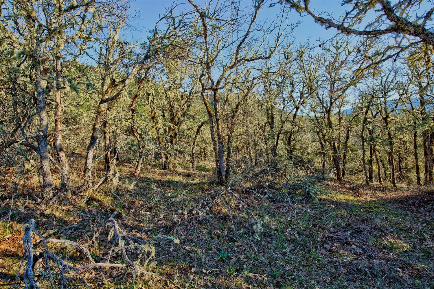 Cloverlawn Heights Subdivision - Land