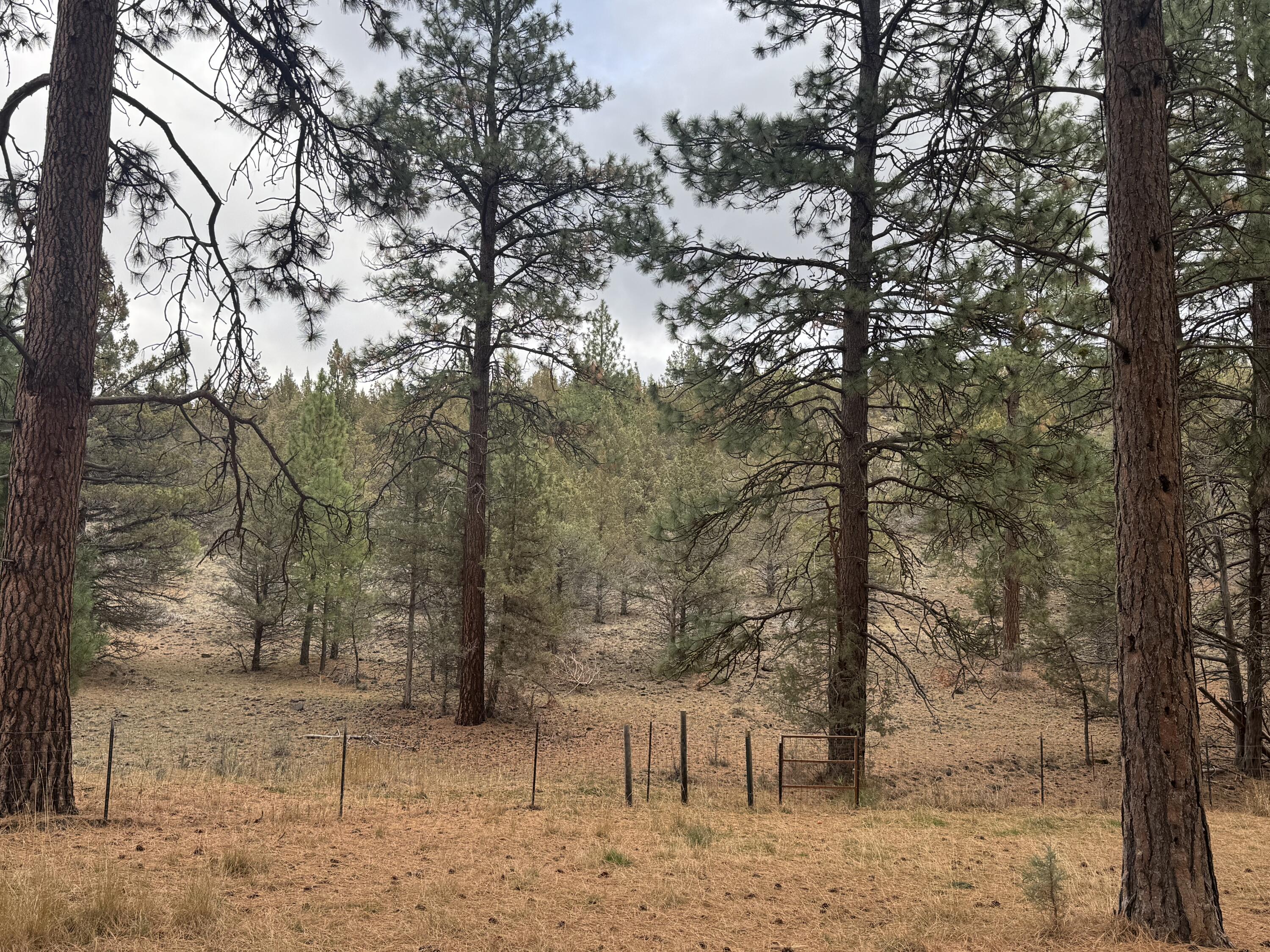 Cedar Trails - Residential