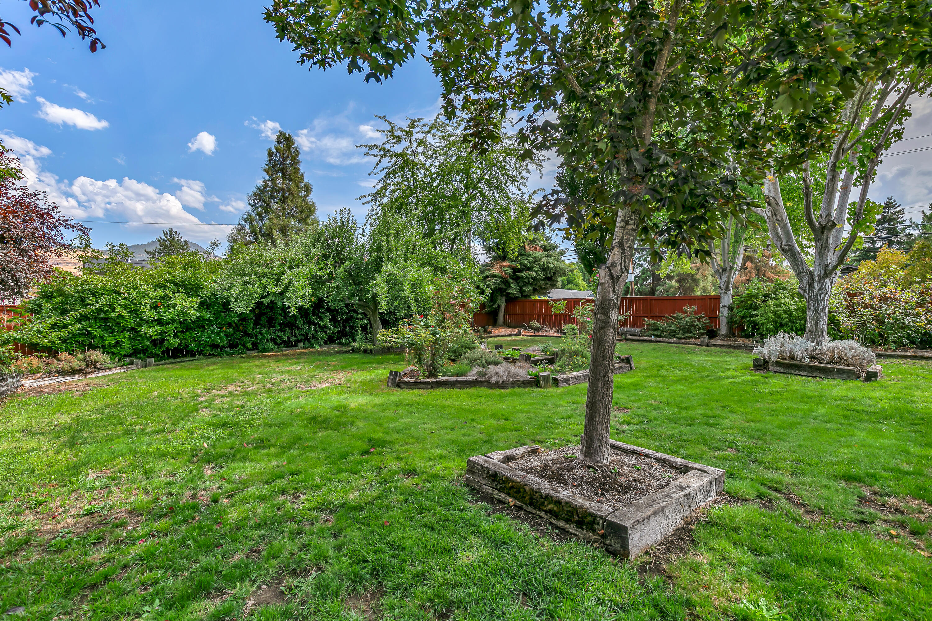 Welcome to this beautiful 3-bedroom, 2-bath single-level home, positioned on an oversized corner lot. Offering a blend of timeless character & modern upgrades, the spacious living room features a soaring vaulted ceiling & a charming bay window that floods the space with natural light. New vinyl plank flooring & updated lighting add a  contemporary touch throughout. The open-concept kitchen is both functional & inviting, complete with durable Corian countertops, stainless steel appliances, & an easy connection to the main living area—ideal for entertaining or everyday living. The primary suite is a peaceful retreat with abundant natural light & a generous walk-in closet. Its updated en-suite bathroom showcases a stylish vanity & an elegant walk-in shower with a glass enclosure. Step outside to enjoy tranquil evenings surrounded by park-like landscaping from the large deck. Additional features include RV parking, a spacious storage shed and a convenient location too!
