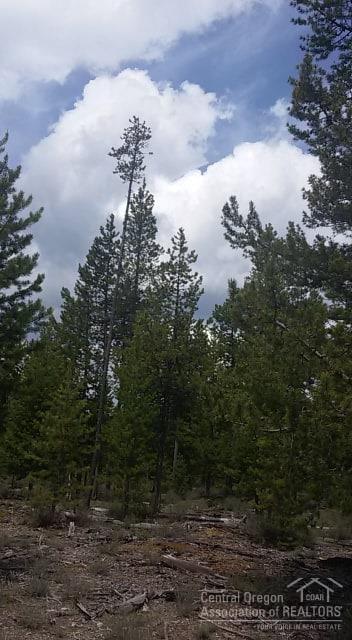Beautiful corner 1.0 acre lot in Two Rivers North. Close to fishing, snowmobiling, skiing and more. Roads maintained in winter by road district. Area of shallow wells and standard septics. Power to the property line.