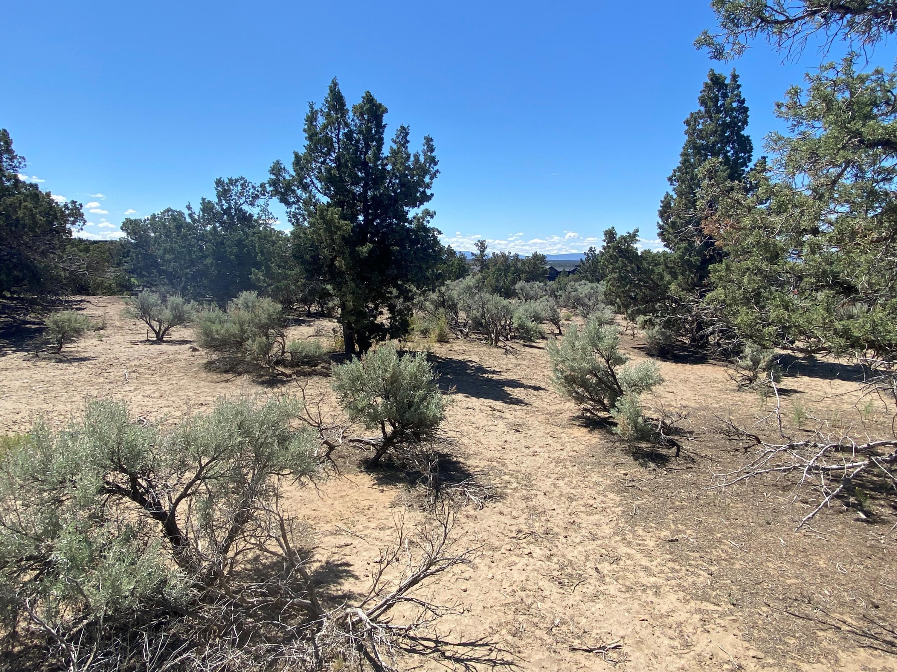 Brasada Ranch - Land