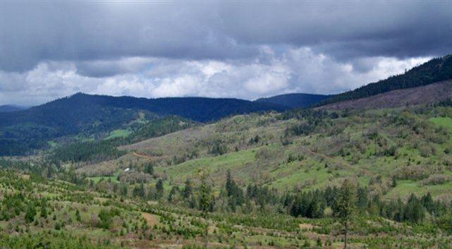Imagine owning 1,200 acres of end‐of‐the‐road property with immediate and long-term opportunities for income and enjoyment. This is Serafin Ranch. A stunning property offering panoramic views, valley hay fields, hillside forests, and a mountain stream. The forest setting is complimented by historical remnants of an old homestead and ranch operation. This one‐of‐a‐kind property offers exceptional opportunities for rural living, recreation, and income. Beauty and functionality describe this unique property conveniently located in Central Western Oregon. This can be an ideal family retreat center, hunting reserve, ranching operation, tree farm, or any combination of the above