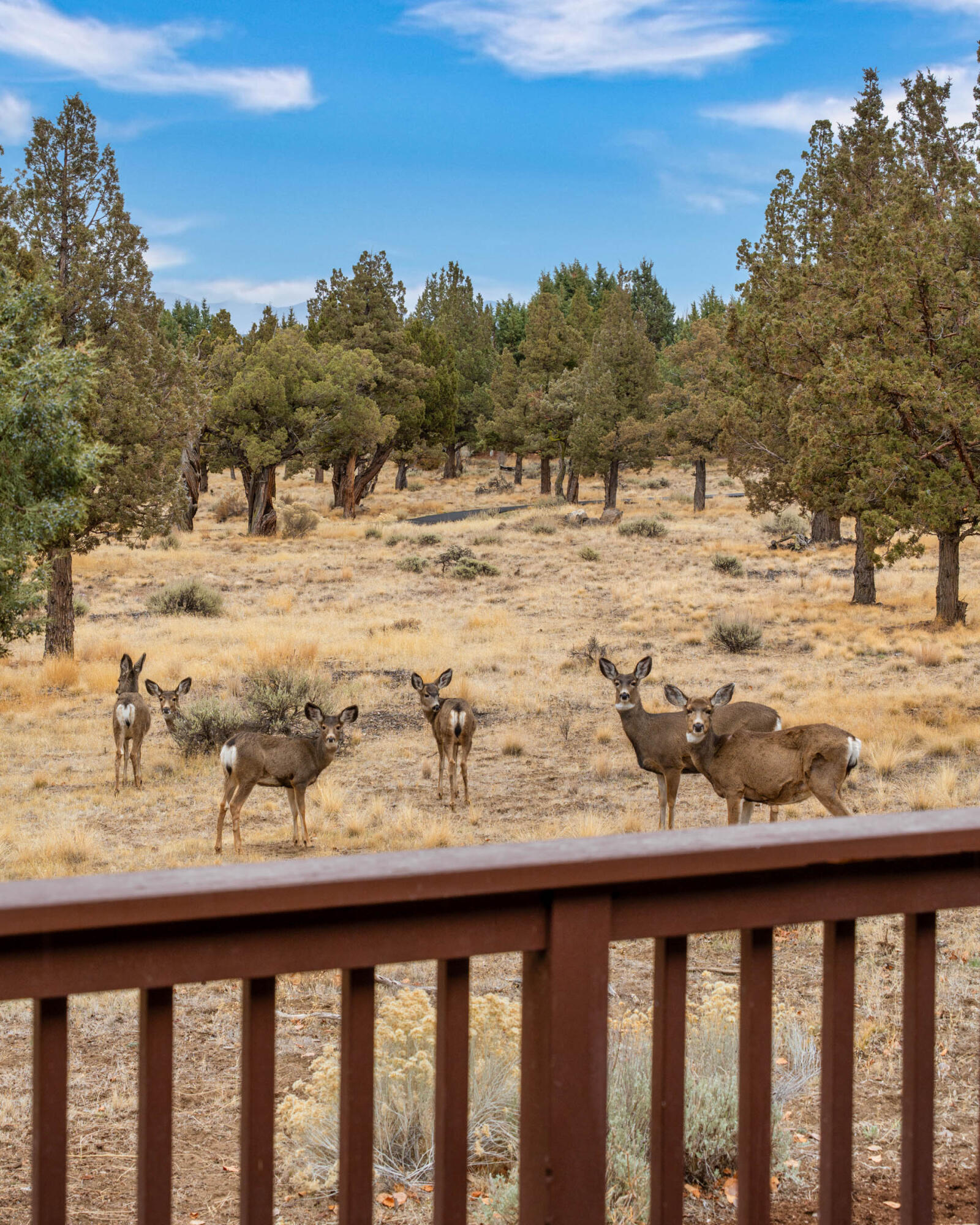 Eagle Crest - Residential