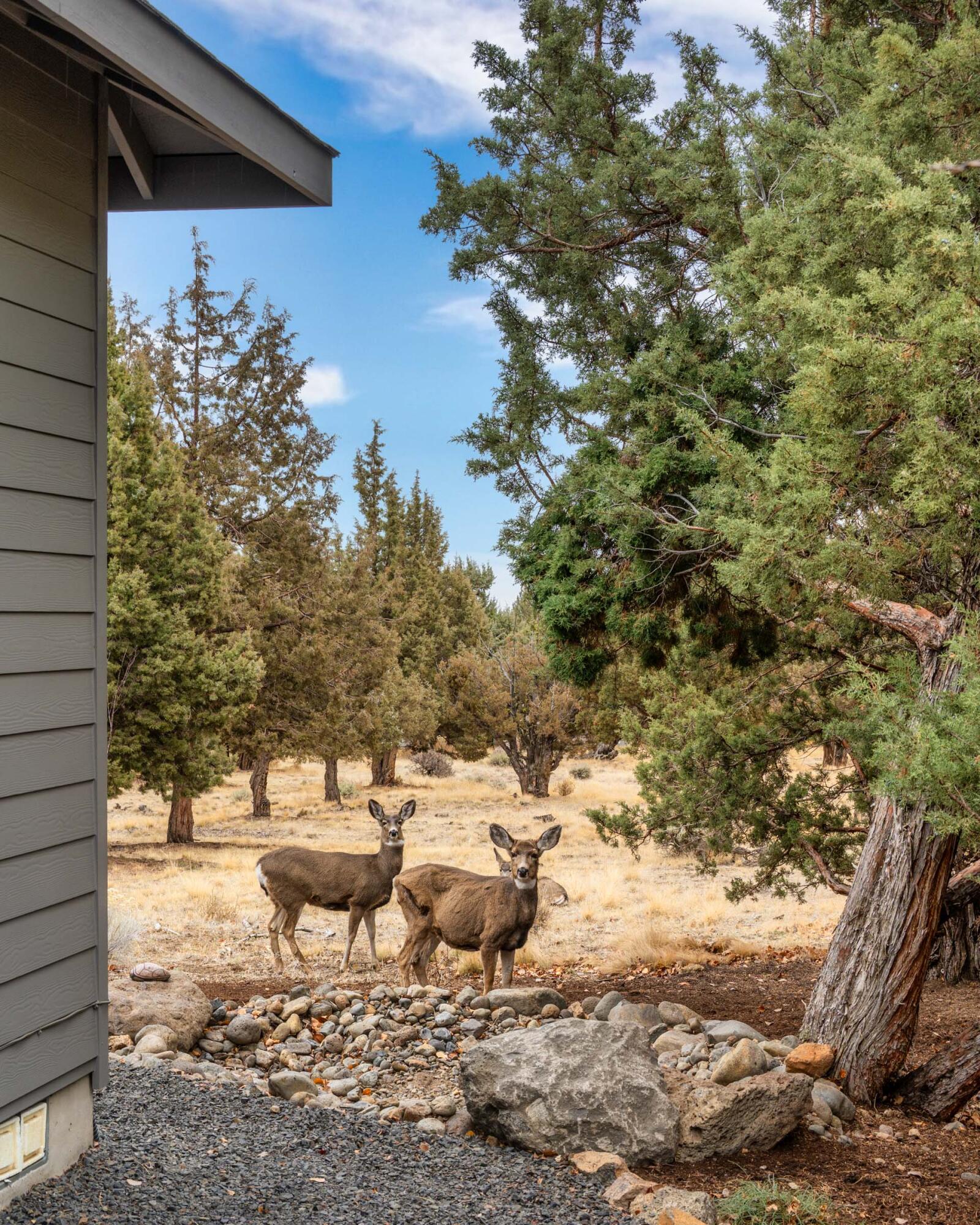 Eagle Crest - Residential
