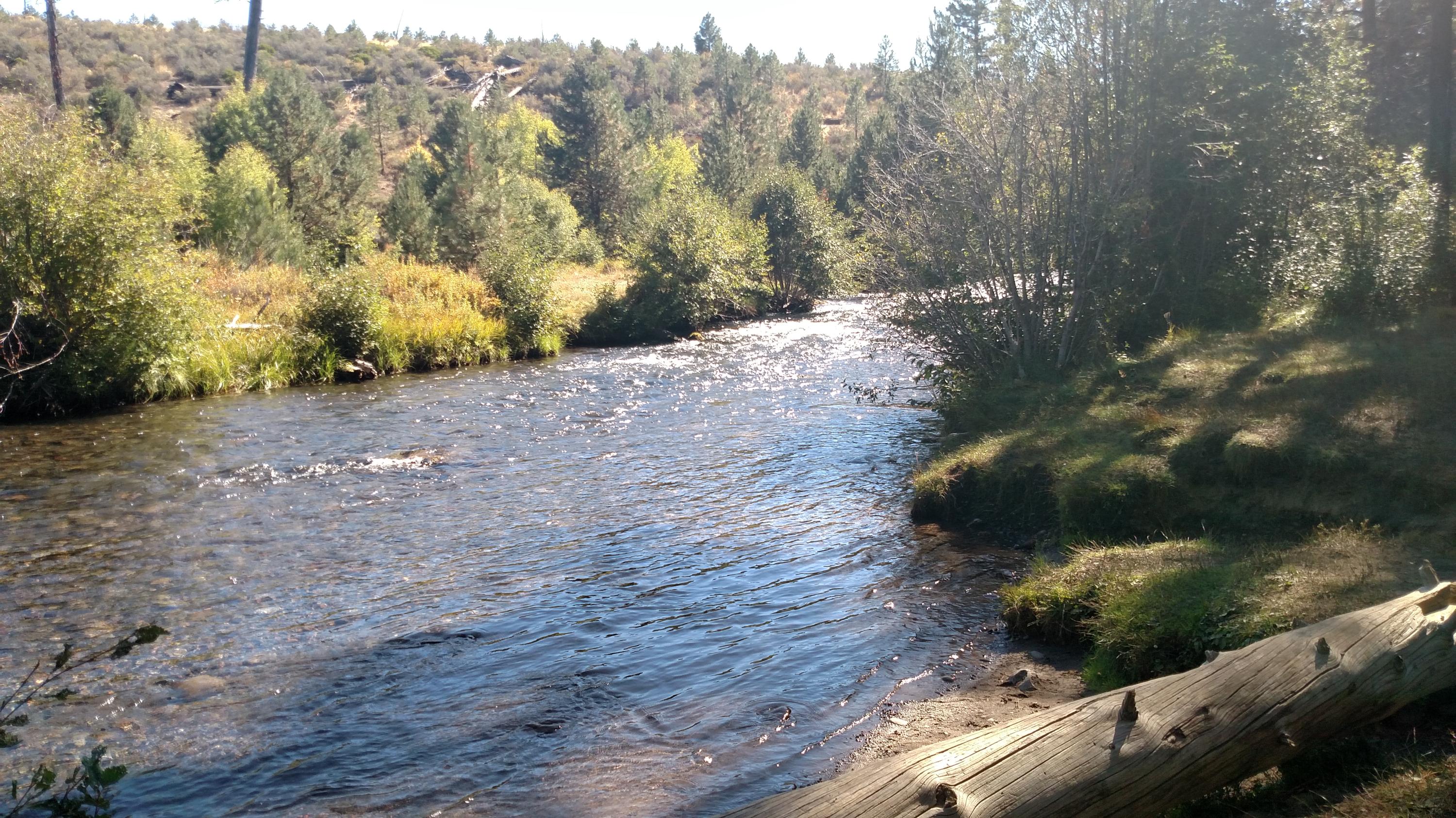 Shevlin Commons - Residential