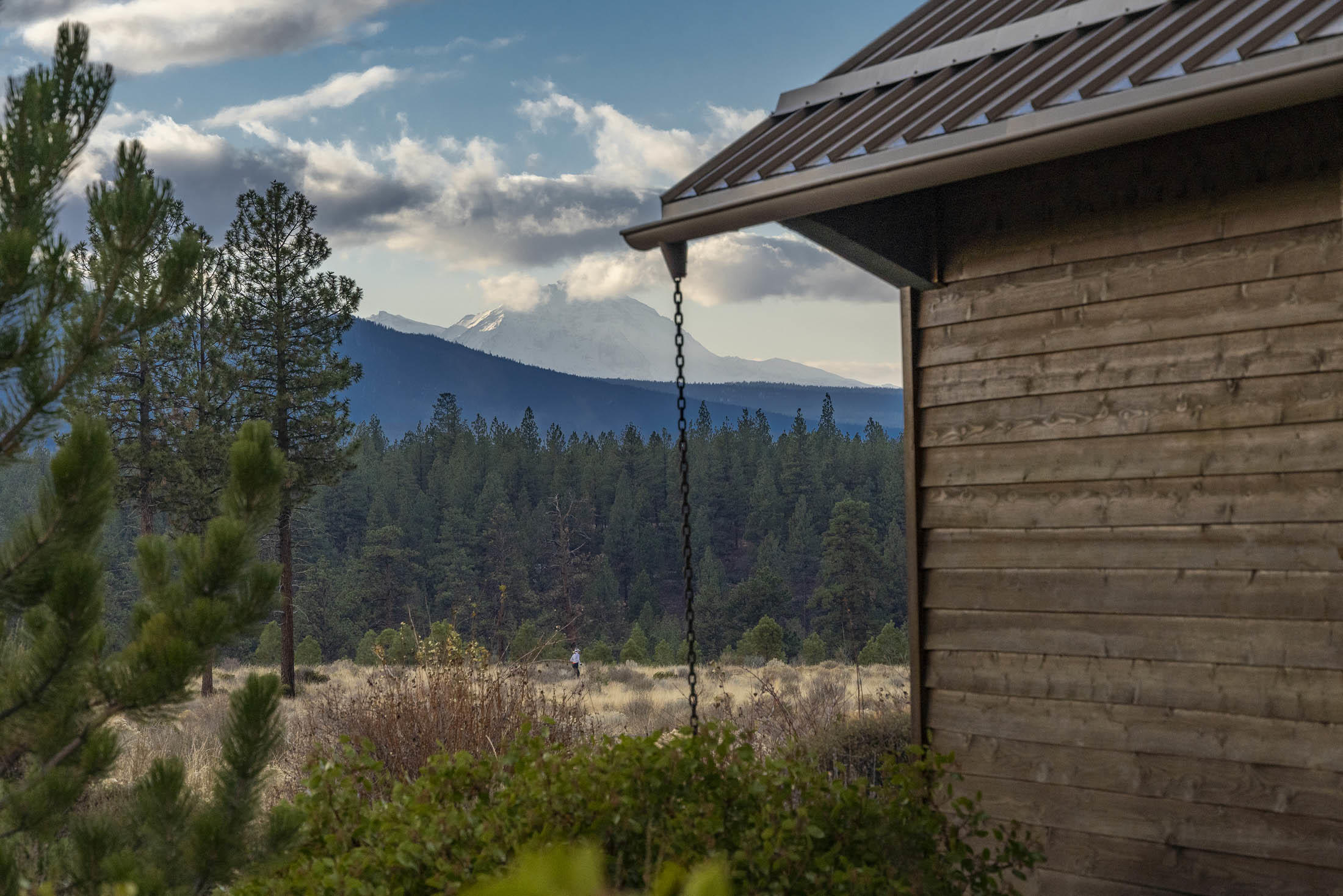 Shevlin Commons - Residential