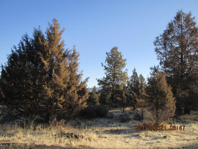 This subdivision is away from town but is has paved streets, power, water and sewer available, only site-built homes are permitted.  So close to wilderness areas, hunting and fishing and about one mile to the town off Bly.
