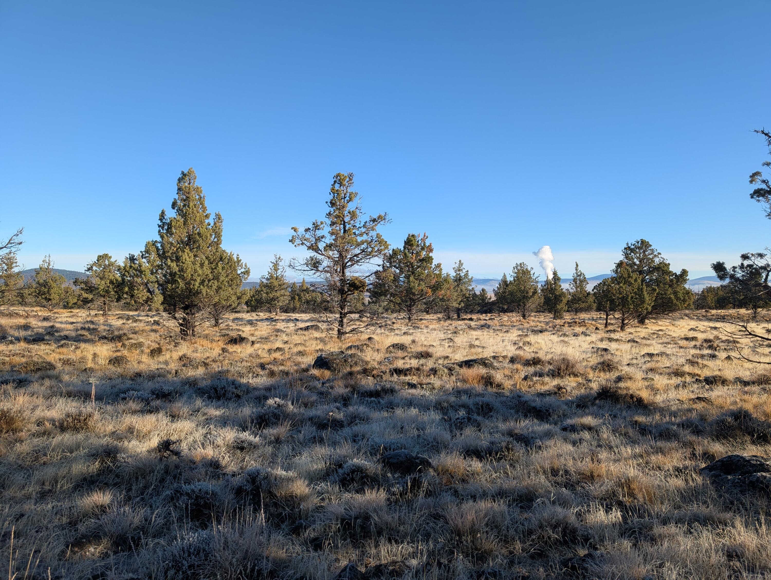 Cedar Trails - Land