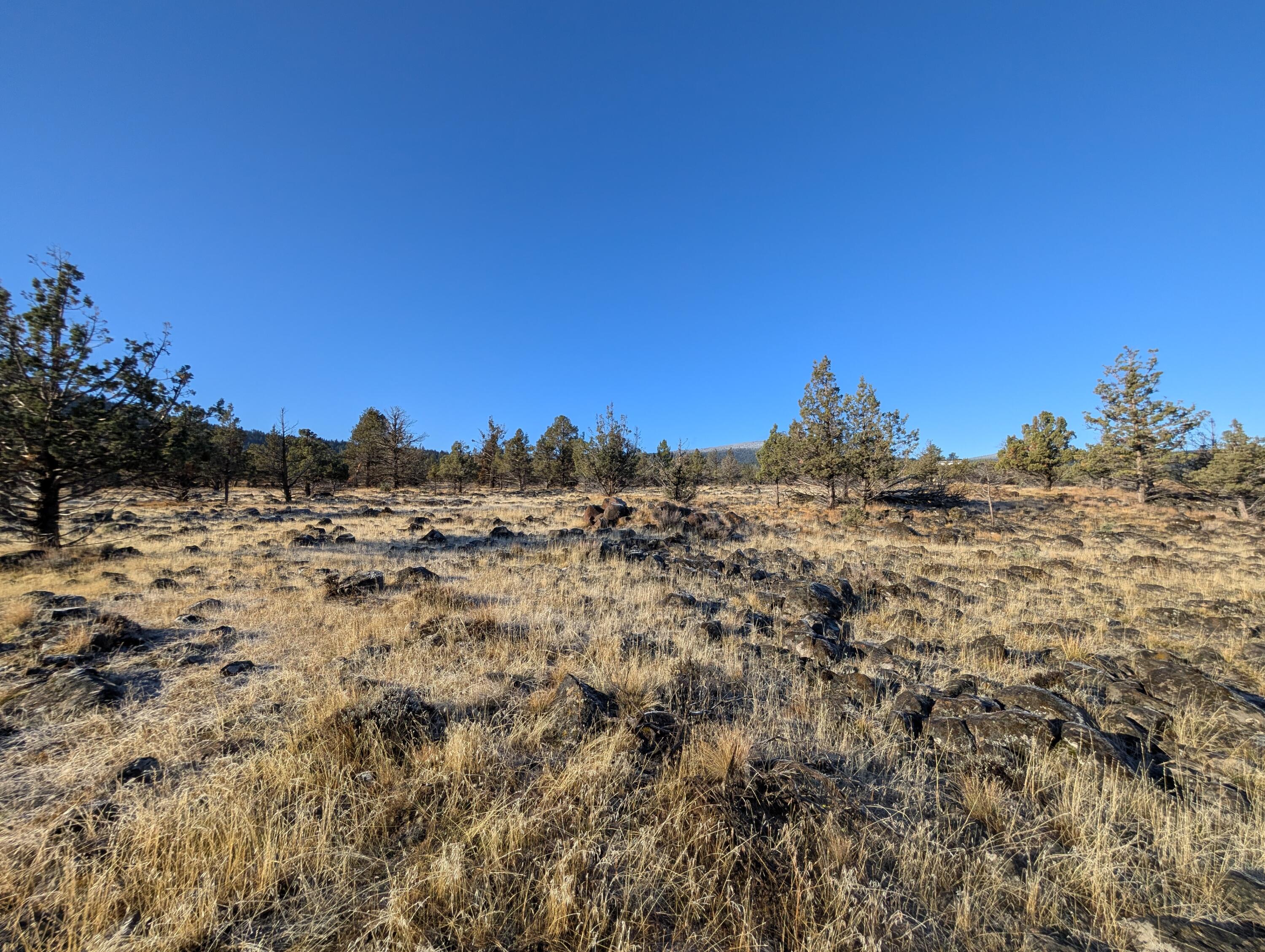 Cedar Trails - Land