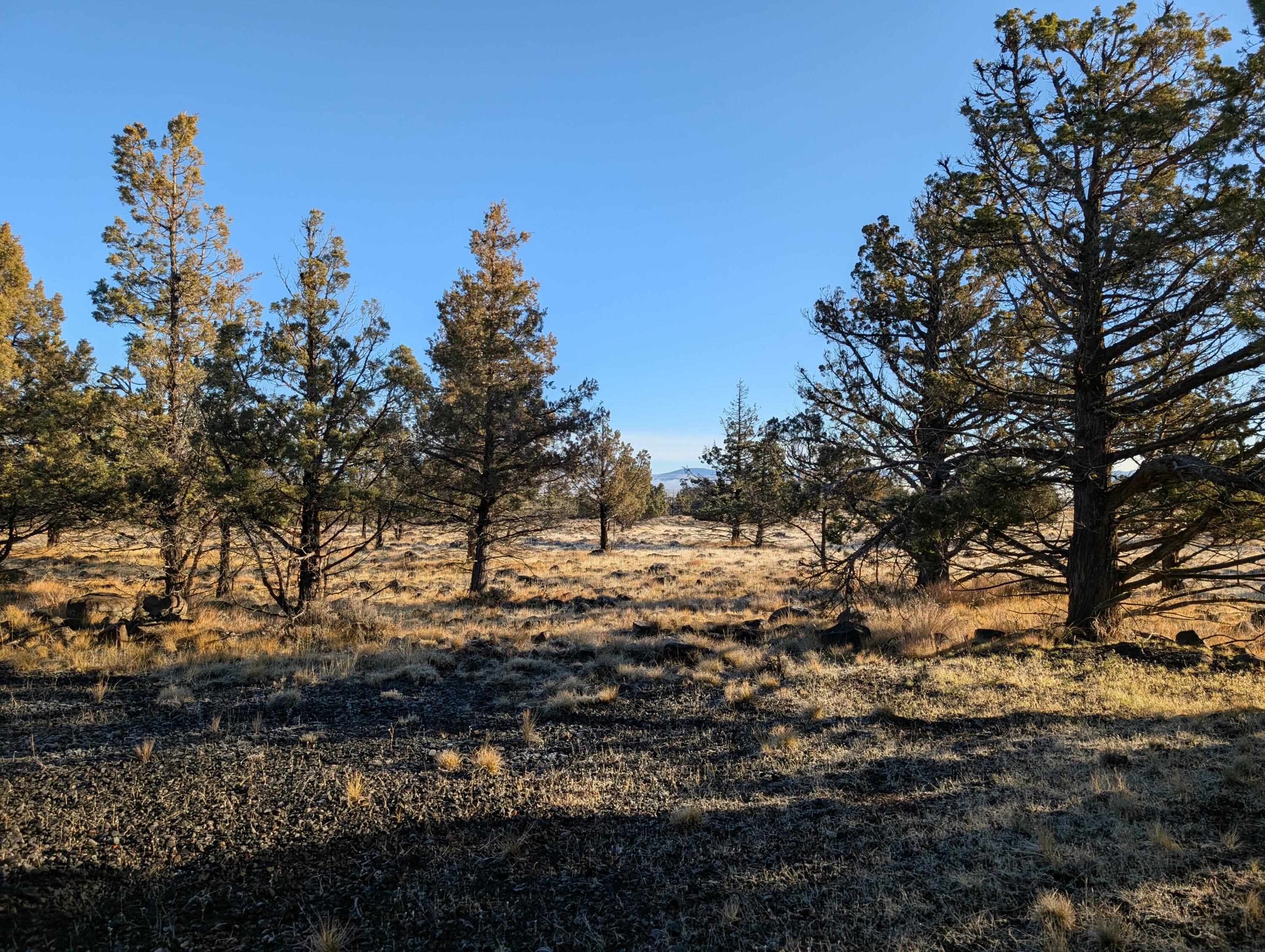 Cedar Trails - Land