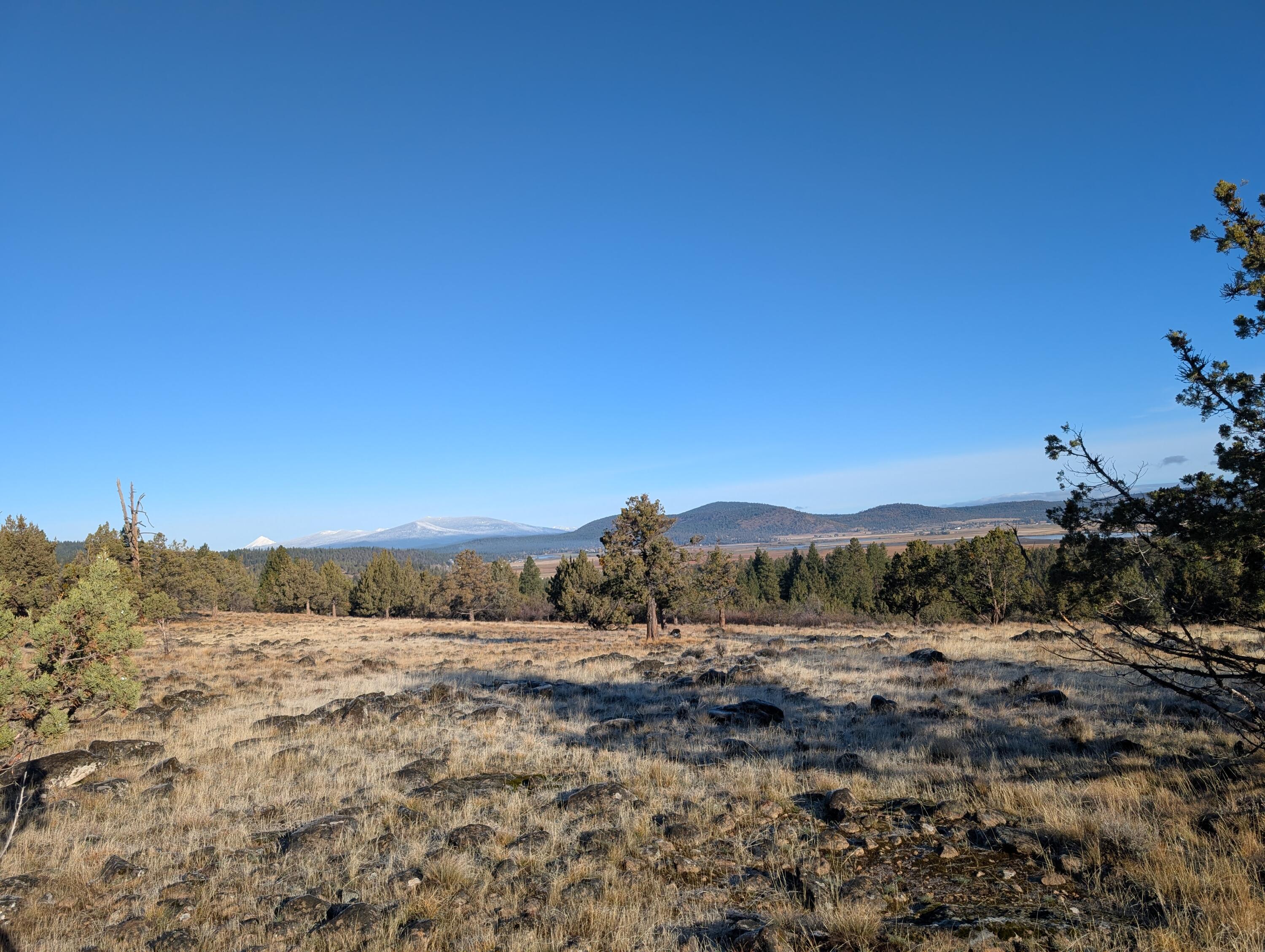 Cedar Trails - Land