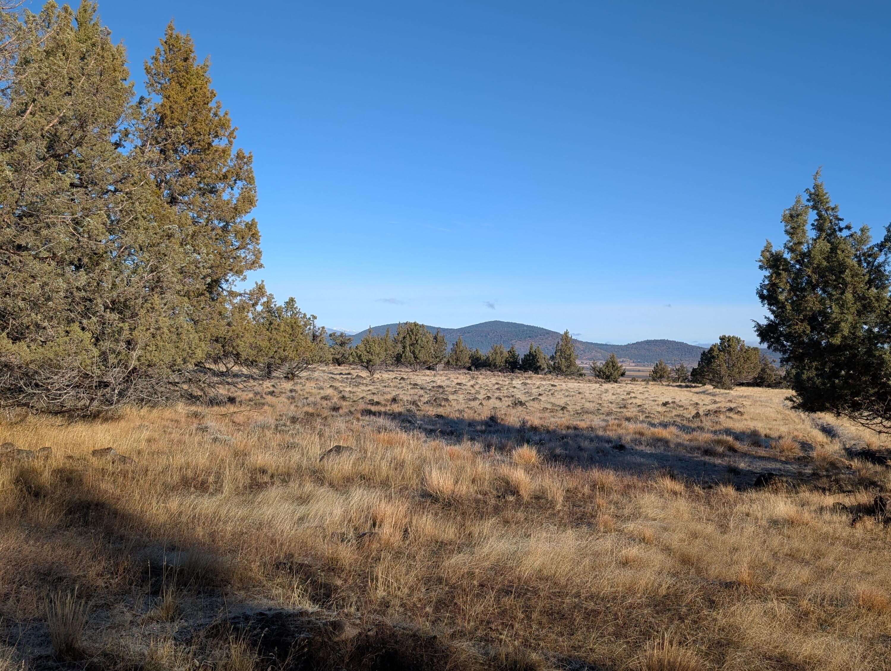 Cedar Trails - Land