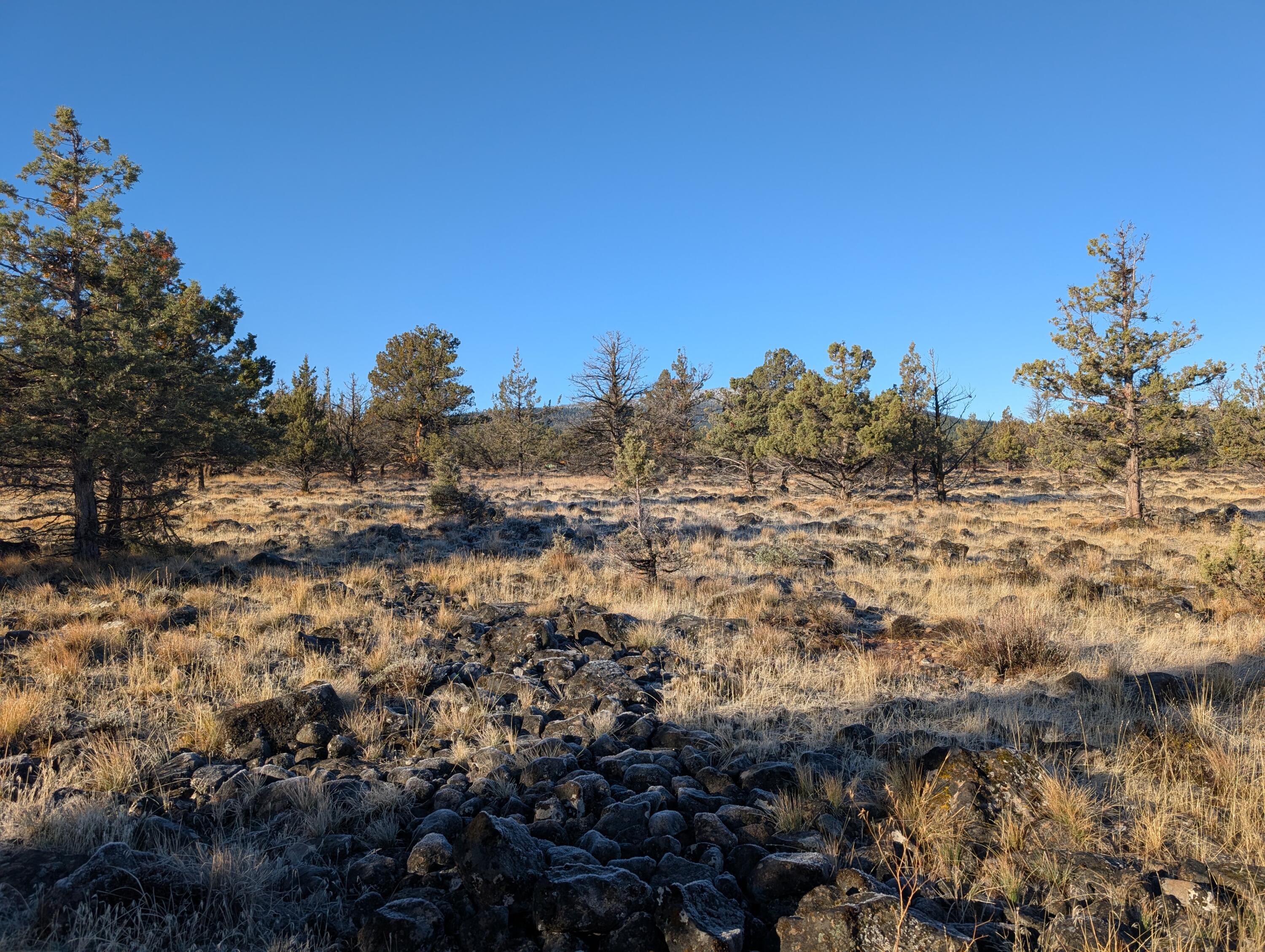 Cedar Trails - Land