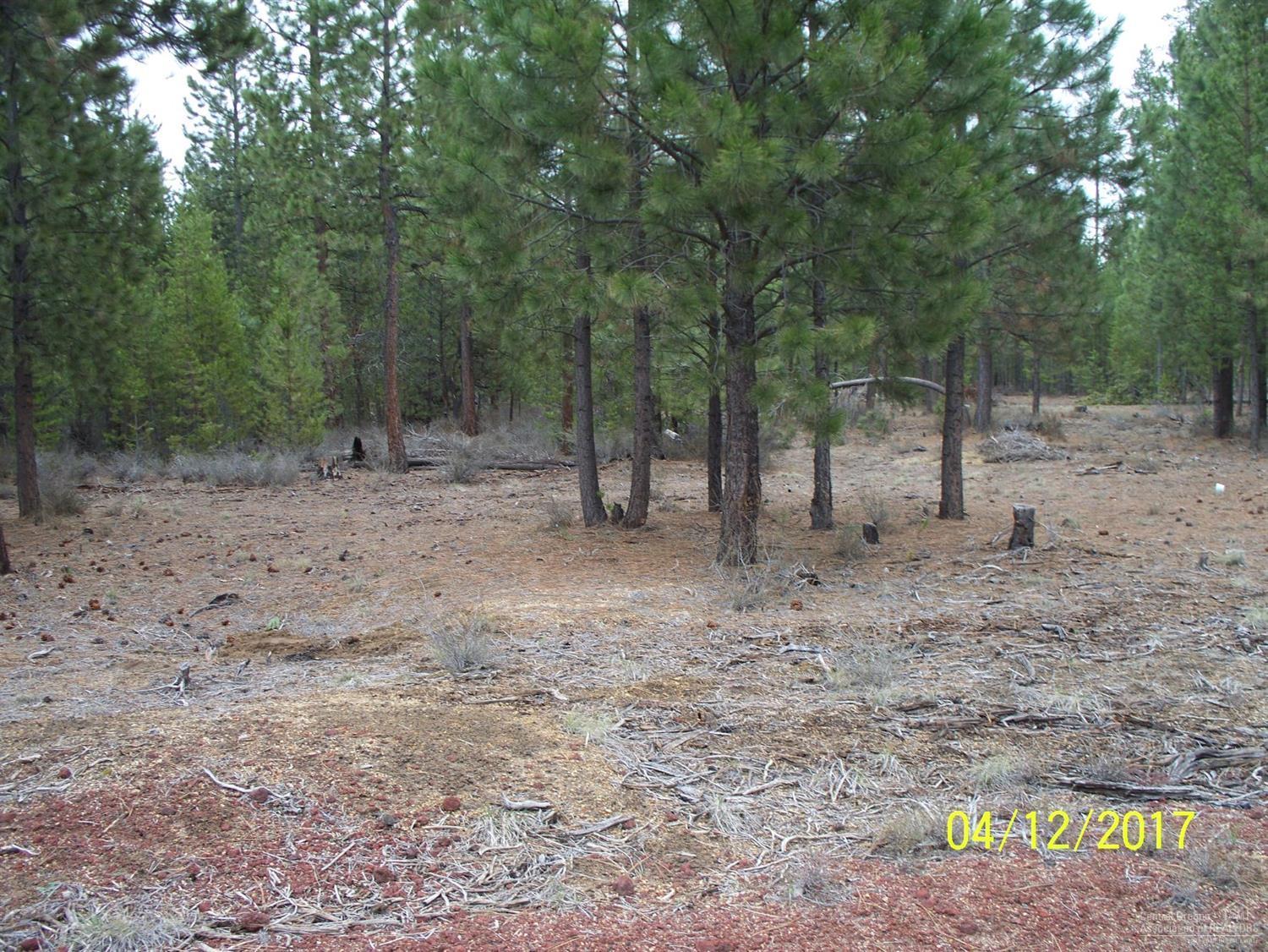 River Pine Estates - Land