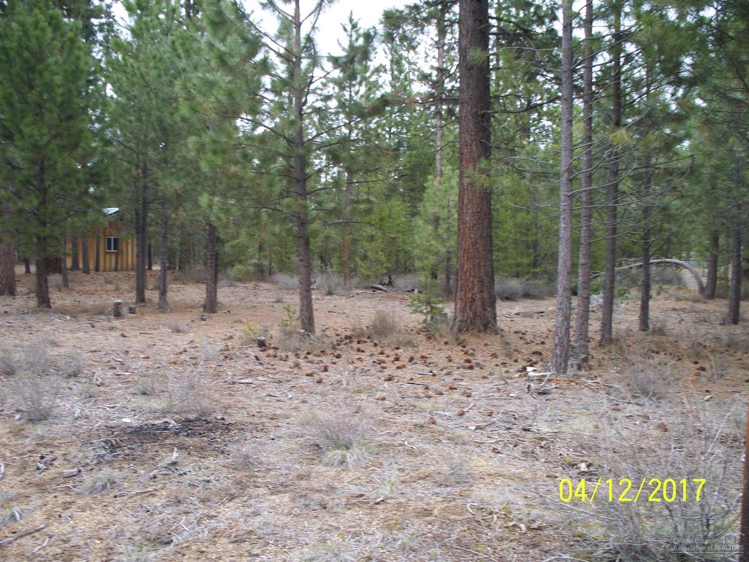 River Pine Estates - Land