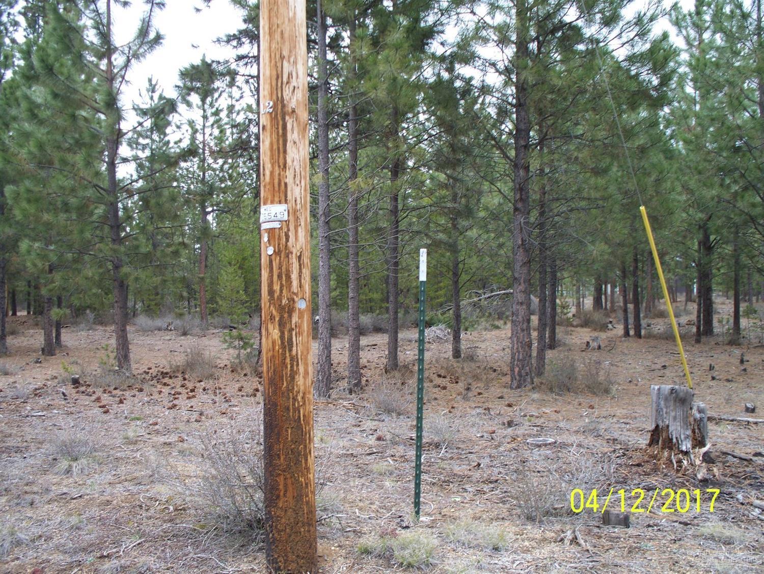 River Pine Estates - Land