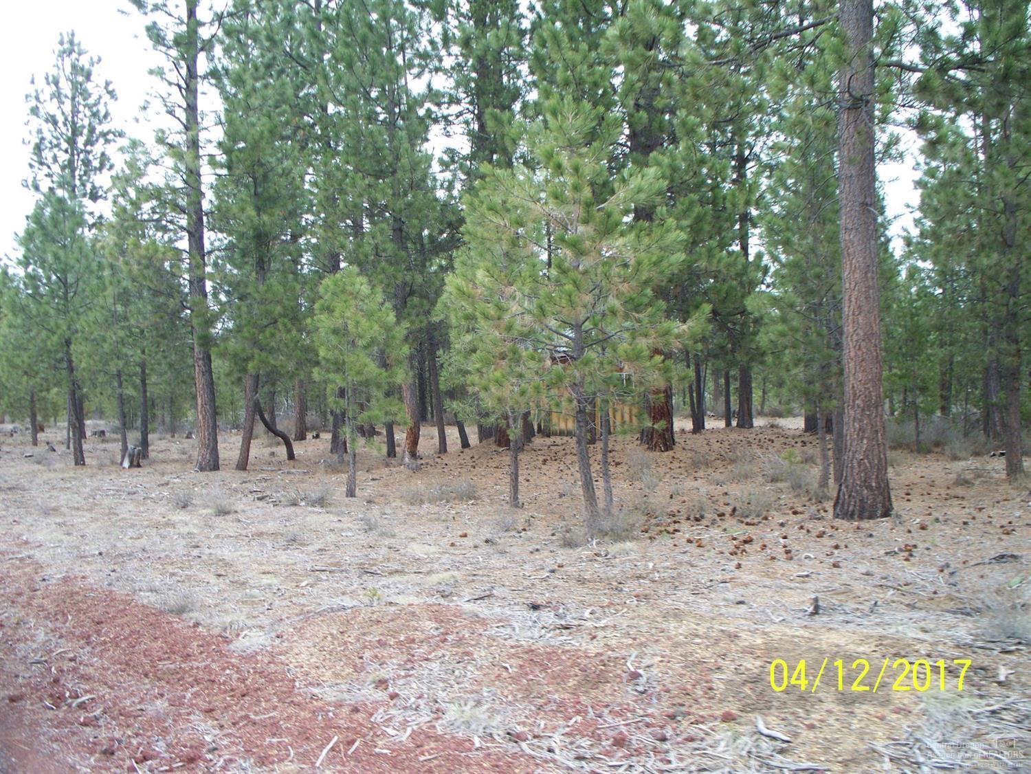 River Pine Estates - Land