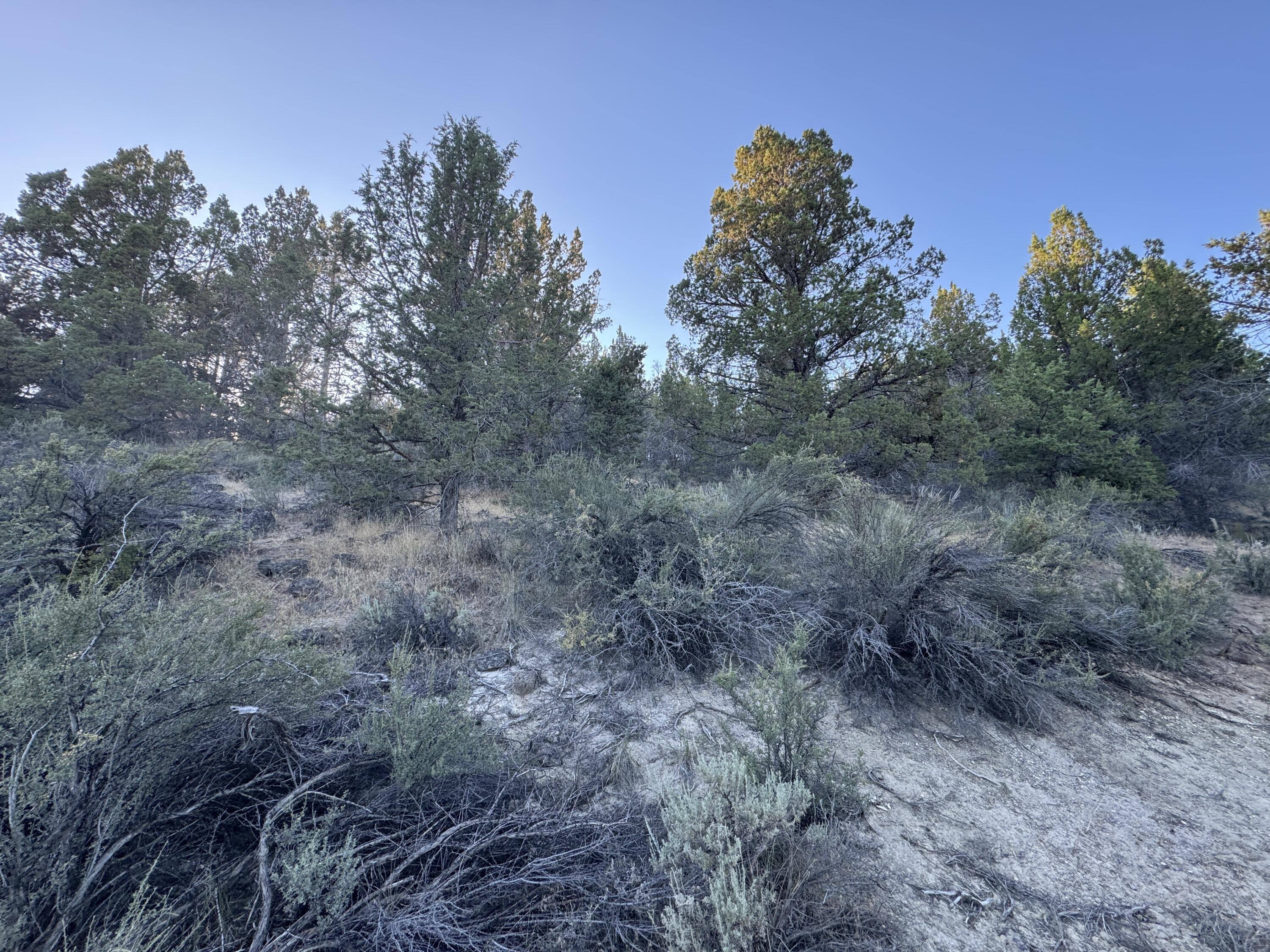 Nimrod River Park - Land
