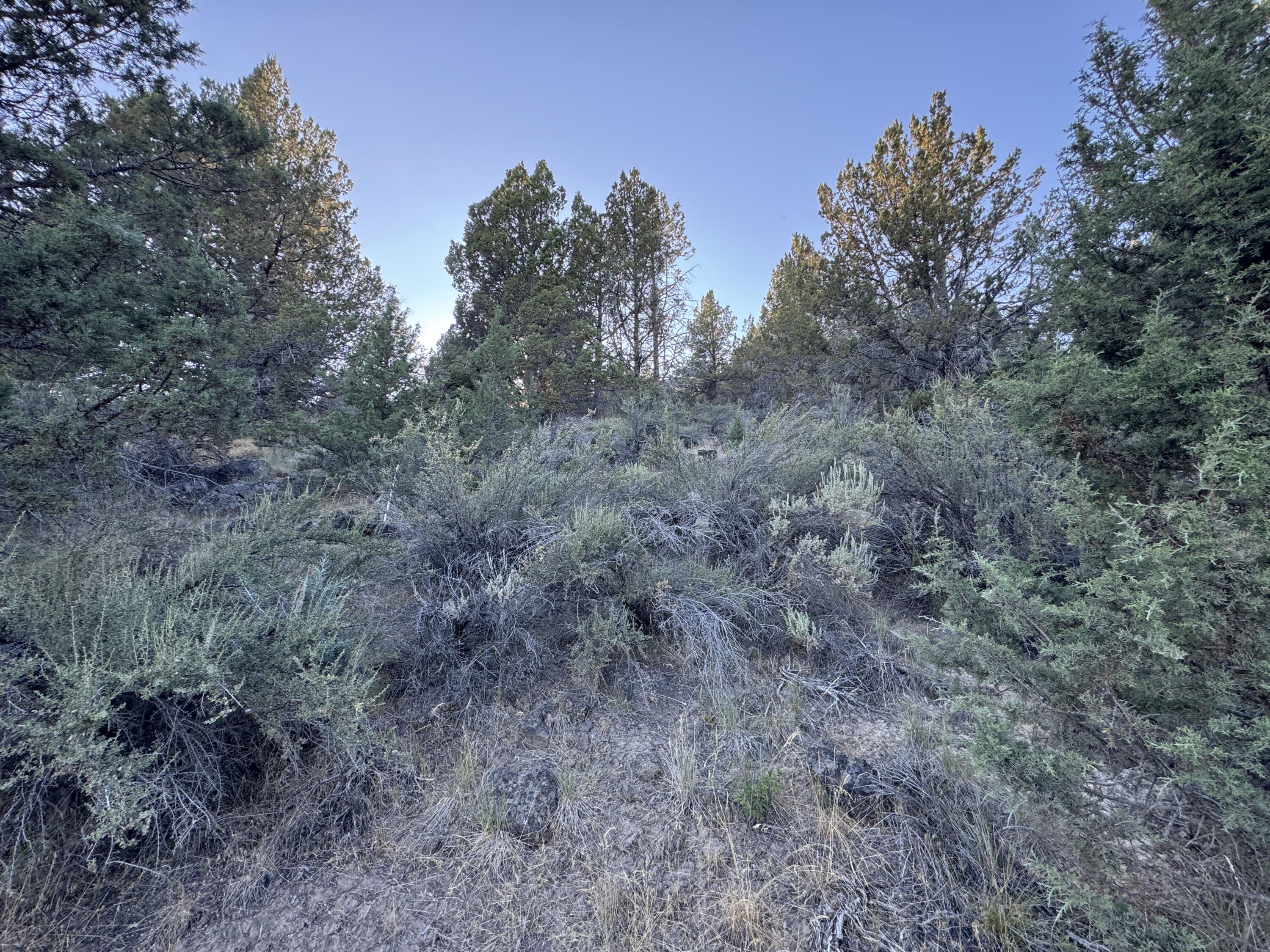 Nimrod River Park - Land