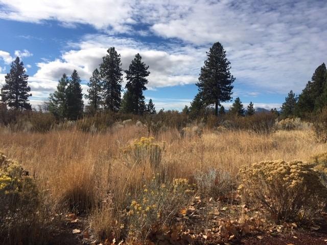 Views on top of the hill! Lovely one acre property with views of Agency Lake, mature trees and peaceful setting. Utilities to property line. This lot is a short drive to Crater Lake, Williamson River, Sprague River, and Wood River, with a plethora of recreational opportunities for fishing, hunting, boating, kayaking and bird watching.