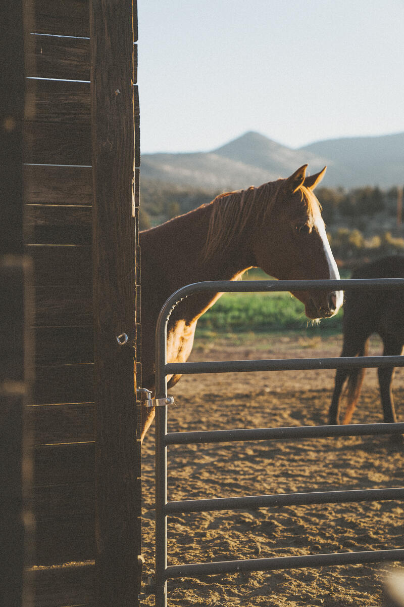 Brasada Ranch - Residential