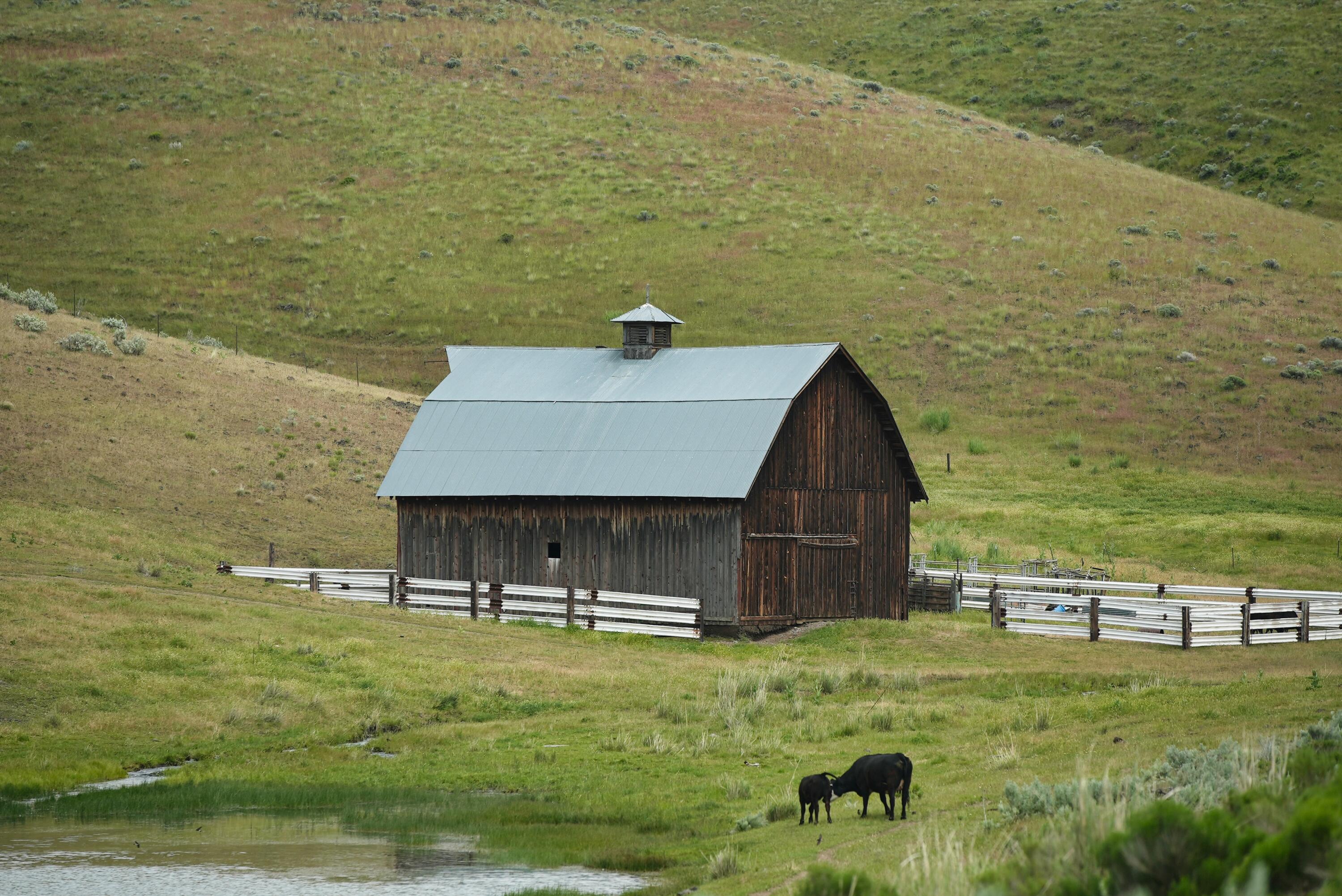 N/A - Farm