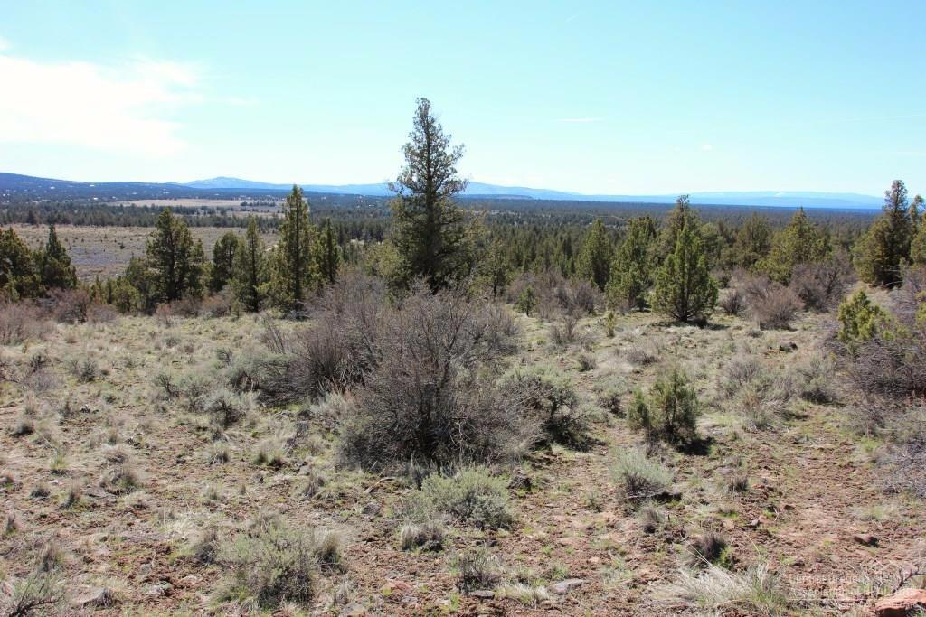 Longhorn Ridge - Land