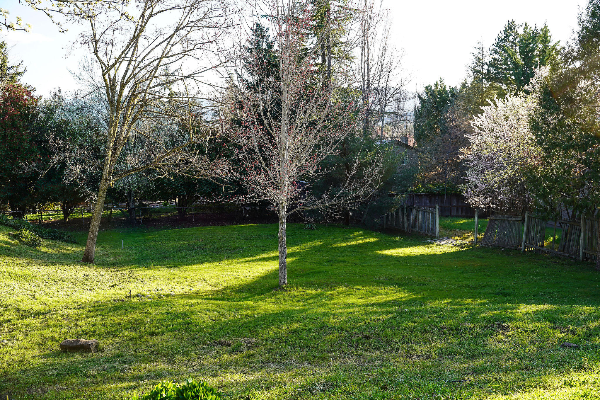 Bel Air Heights - Residential
