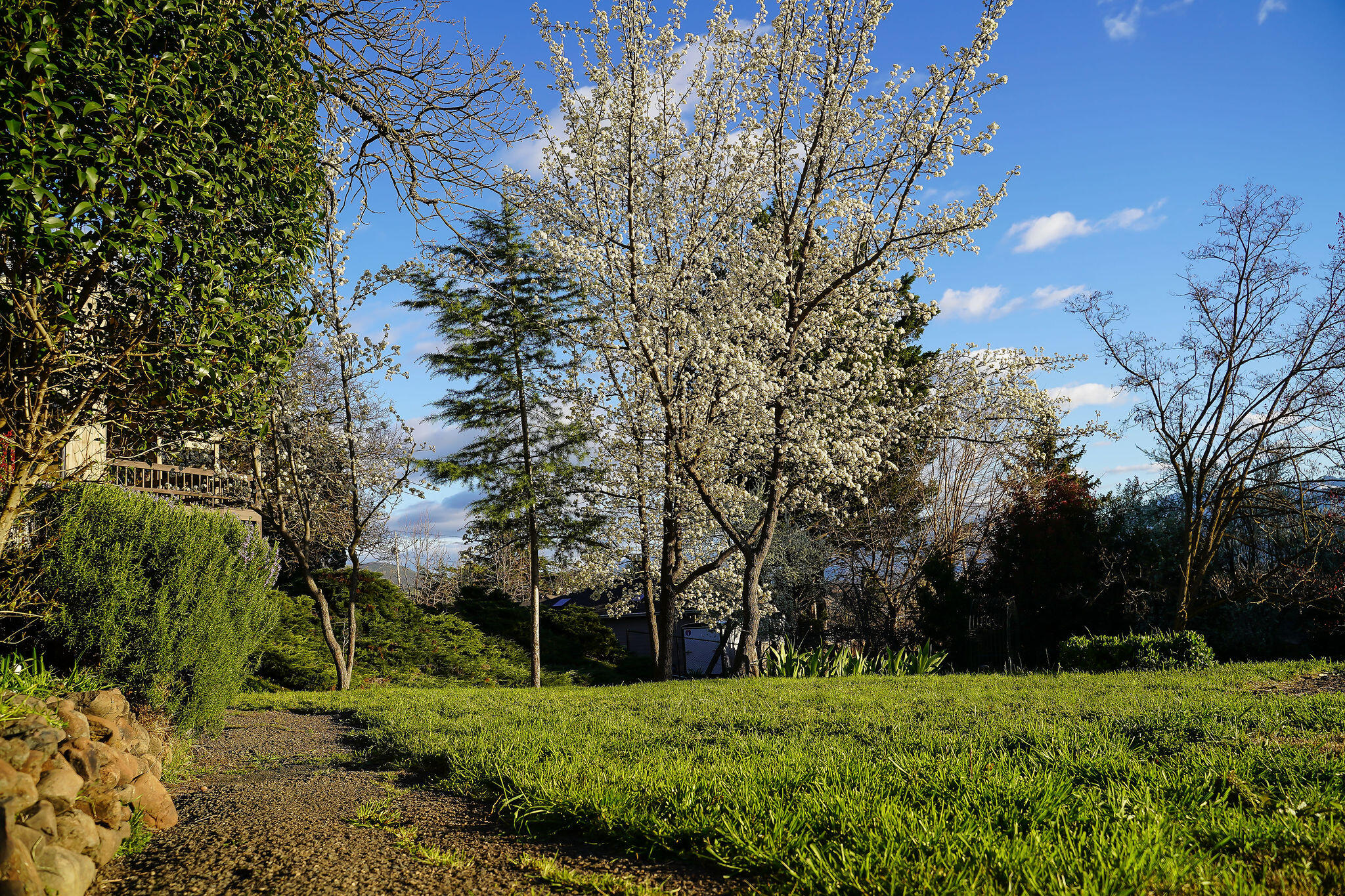 Bel Air Heights - Residential