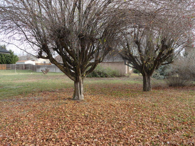 Country Green - Residential