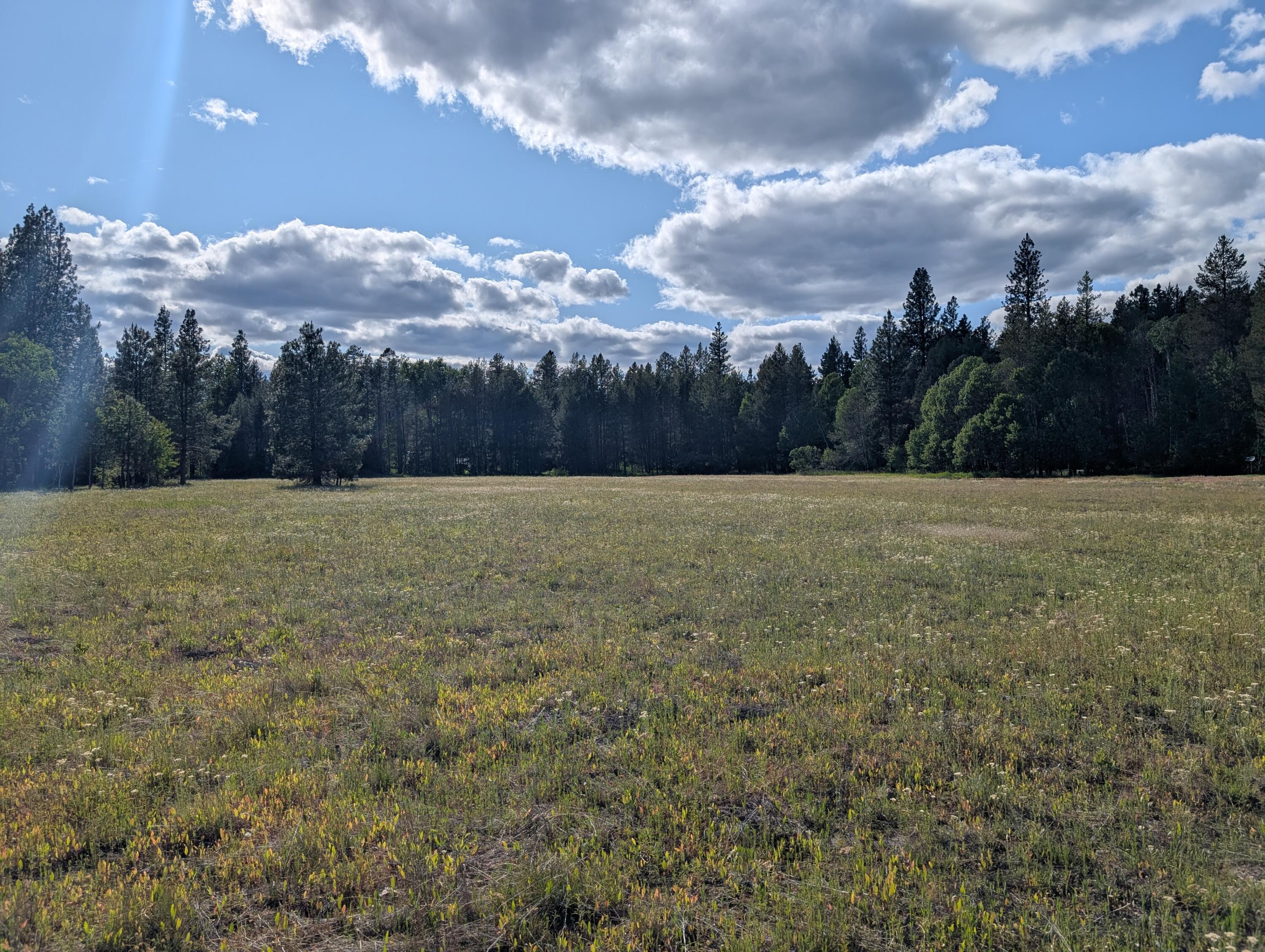 Build your dream home near fantastic recreation.  Minutes away from Rocky Point Resort, trout fishing, Kayaking, bird watching, and hiking. Just to name a few. Abundance of wildlife at your back door, aromas of mountain air, and amazing evergreens. There are endless possibilities and recreation. Not far from 2 National parks and amenities of town conveniences. Don't miss this great opportunity where you will never need to take a vacation from home.