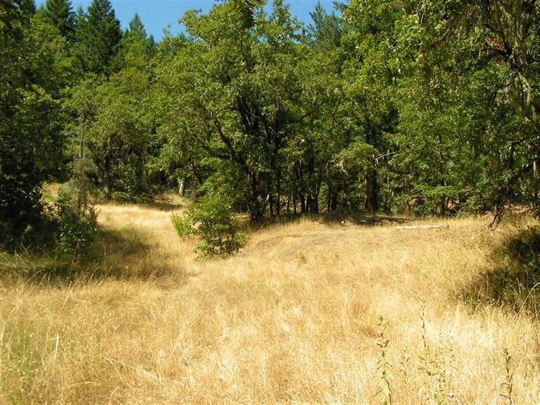 Beautiful and Secluded 10 Acre Parcel. This Property is Fully Improved with Building Pad, Septic, Artesian Well, Power, and Telephone on site! Rolling Terrain, Pretty Meadow Area, and Great Mountain Views. Plenty of Open Ground for Animals, Gardens, Fruit Trees, and more.Seasonal Pond, as well as evidence of a Developed Spring Source with Holding Tank. LOTS of Wildlife and plenty of Quiet! Property is located about a mile off Redwood Highway and offers End of the Road Privacy. An excellent Value for only $119,900!