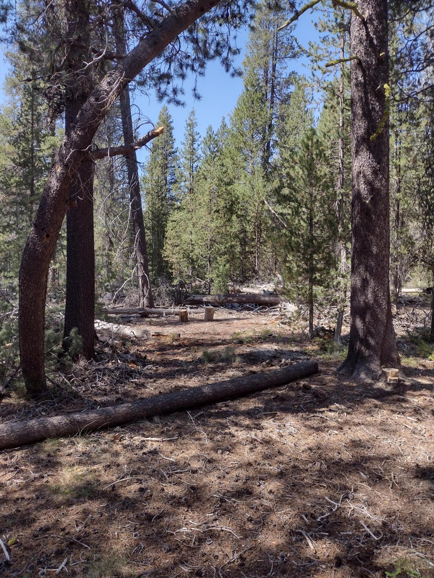 Bring your plans to the Mt. Scott Subdivision, these two parcels are located just 22.2 miles to Chemult, 23.9 miles to Chiloquin, 39.7 miles to Diamond Lake, and 42.8 miles to Crater Lake. These two lots are nearly level, including 2.21 acres, offering beautiful mature ponderosa pines, and are ready for your build. Come enjoy the amazing hunting, fishing, snowmobiling, and all that the area has to offer while building your dream home today!